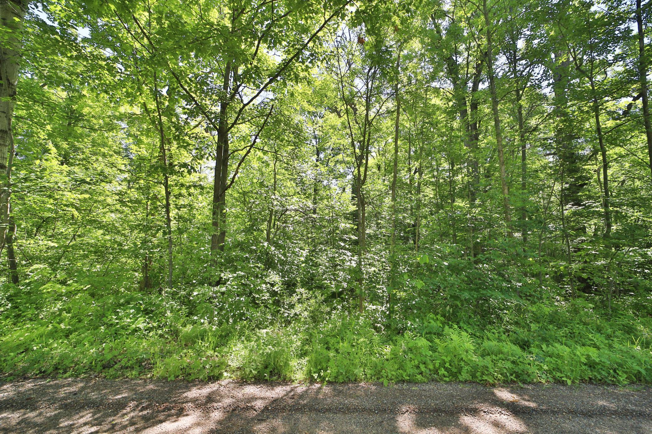 View of Land at TBD Meander Way, Garrison MN 56450, Garrison (4 of 7) - Mike Wilen | Minnesota Team Real Estate