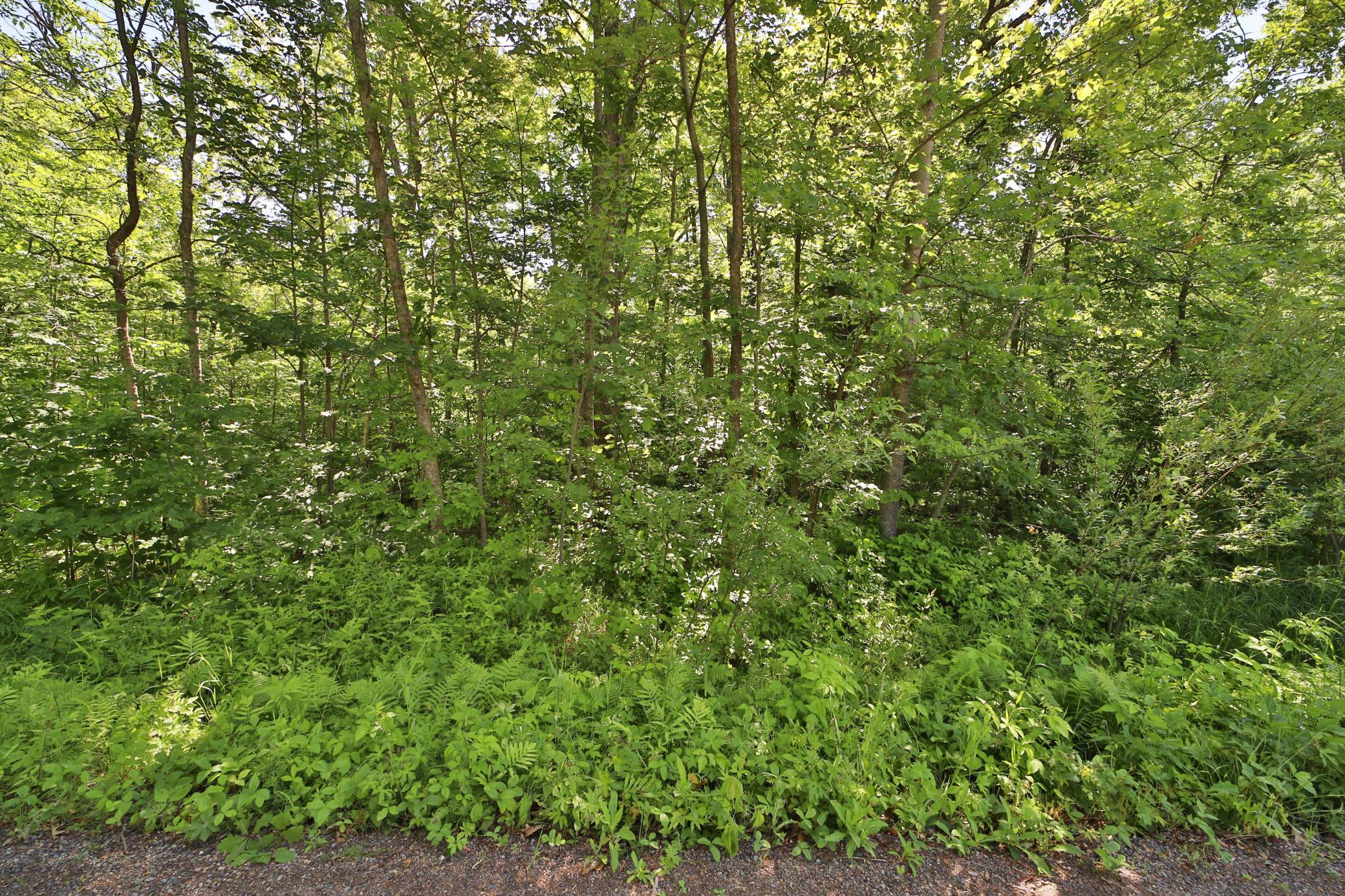 View of Land at TBD Meander Way, Garrison MN 56450, Garrison (2 of 7) - Mike Wilen | Minnesota Team Real Estate