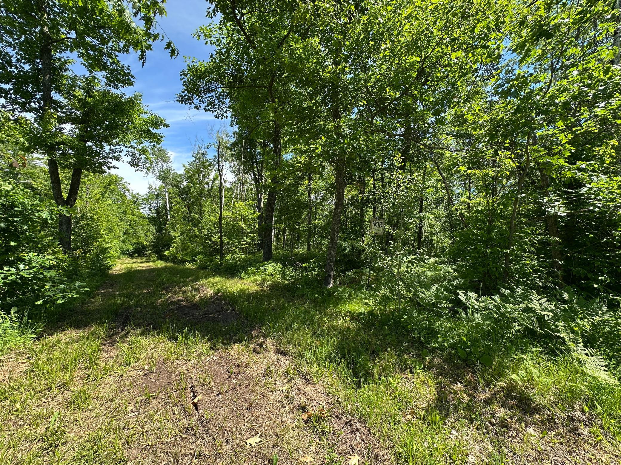 View of Land at TBD Oak Leaf Road, Kerrick MN 55756, Kerrick (9 of 19) - Mike Wilen | Minnesota Team Real Estate