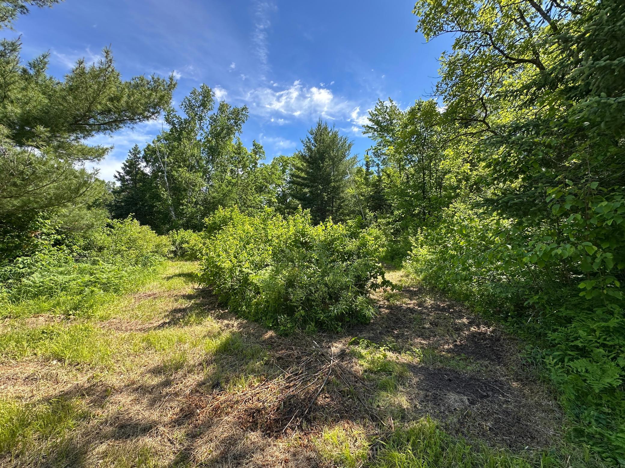 View of Land at TBD Oak Leaf Road, Kerrick MN 55756, Kerrick (6 of 19) - Mike Wilen | Minnesota Team Real Estate