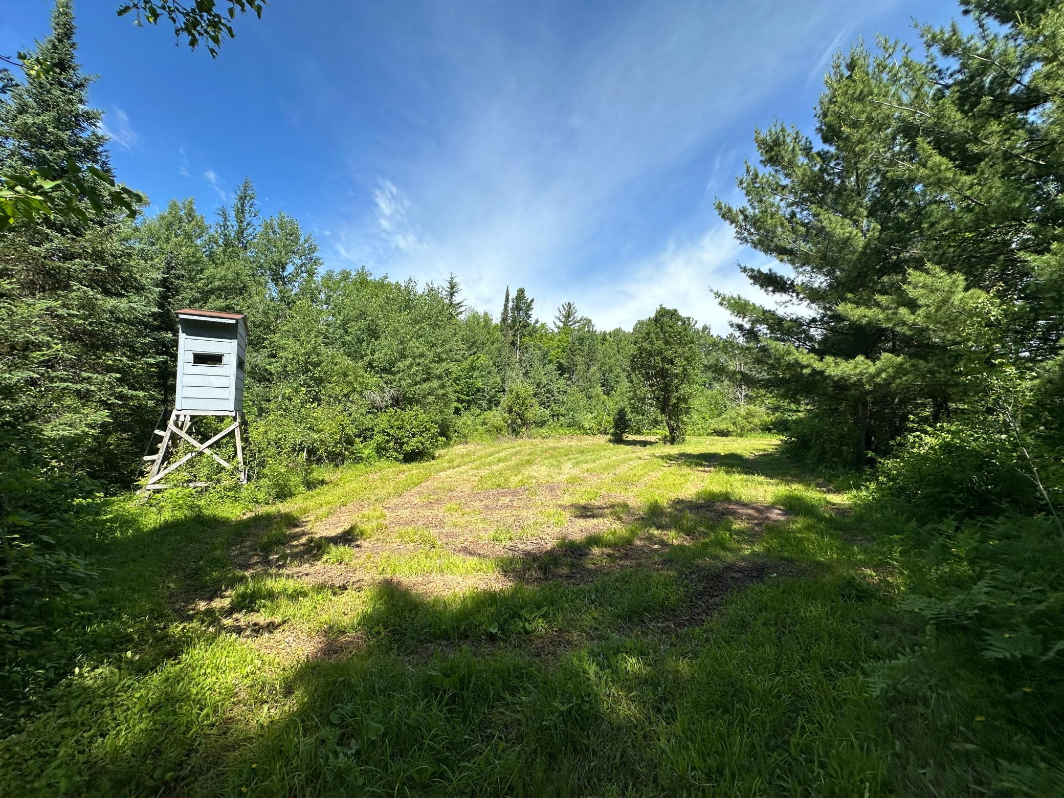 View of Land at TBD Oak Leaf Road, Kerrick MN 55756, Kerrick (5 of 19) - Mike Wilen | Minnesota Team Real Estate
