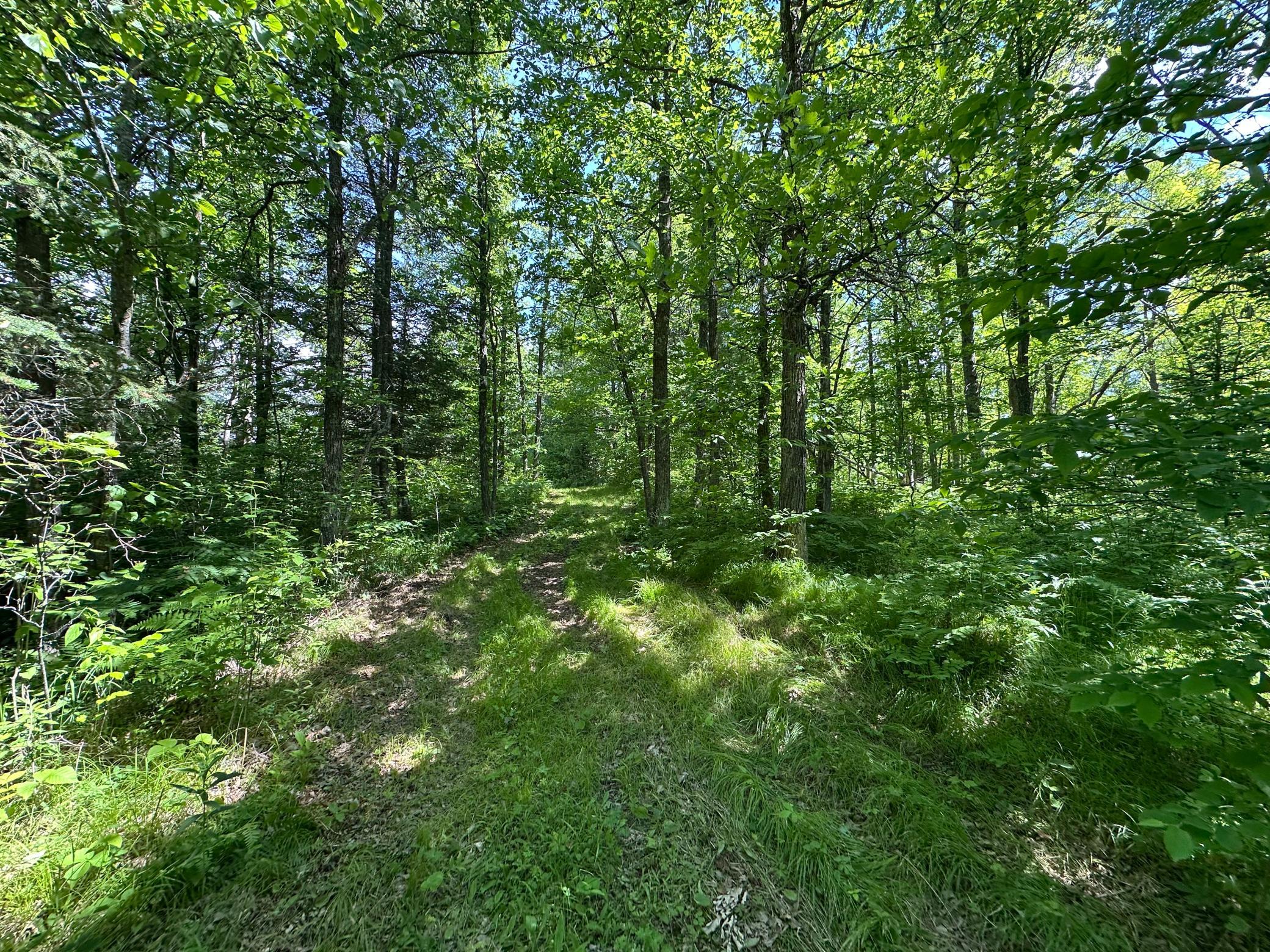 View of Land at TBD Oak Leaf Road, Kerrick MN 55756, Kerrick (4 of 19) - Mike Wilen | Minnesota Team Real Estate