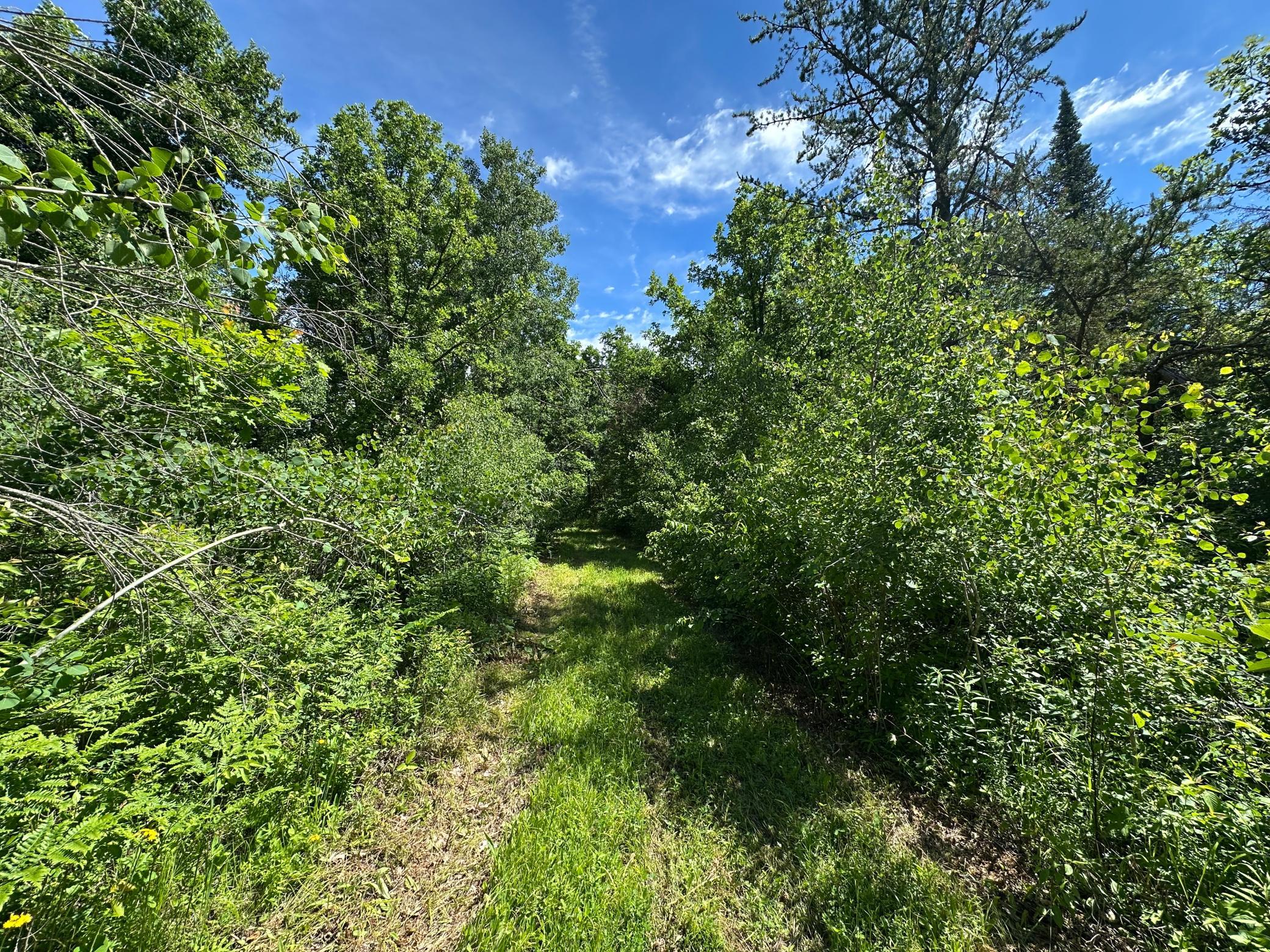 View of Land at TBD Oak Leaf Road, Kerrick MN 55756, Kerrick (3 of 19) - Mike Wilen | Minnesota Team Real Estate