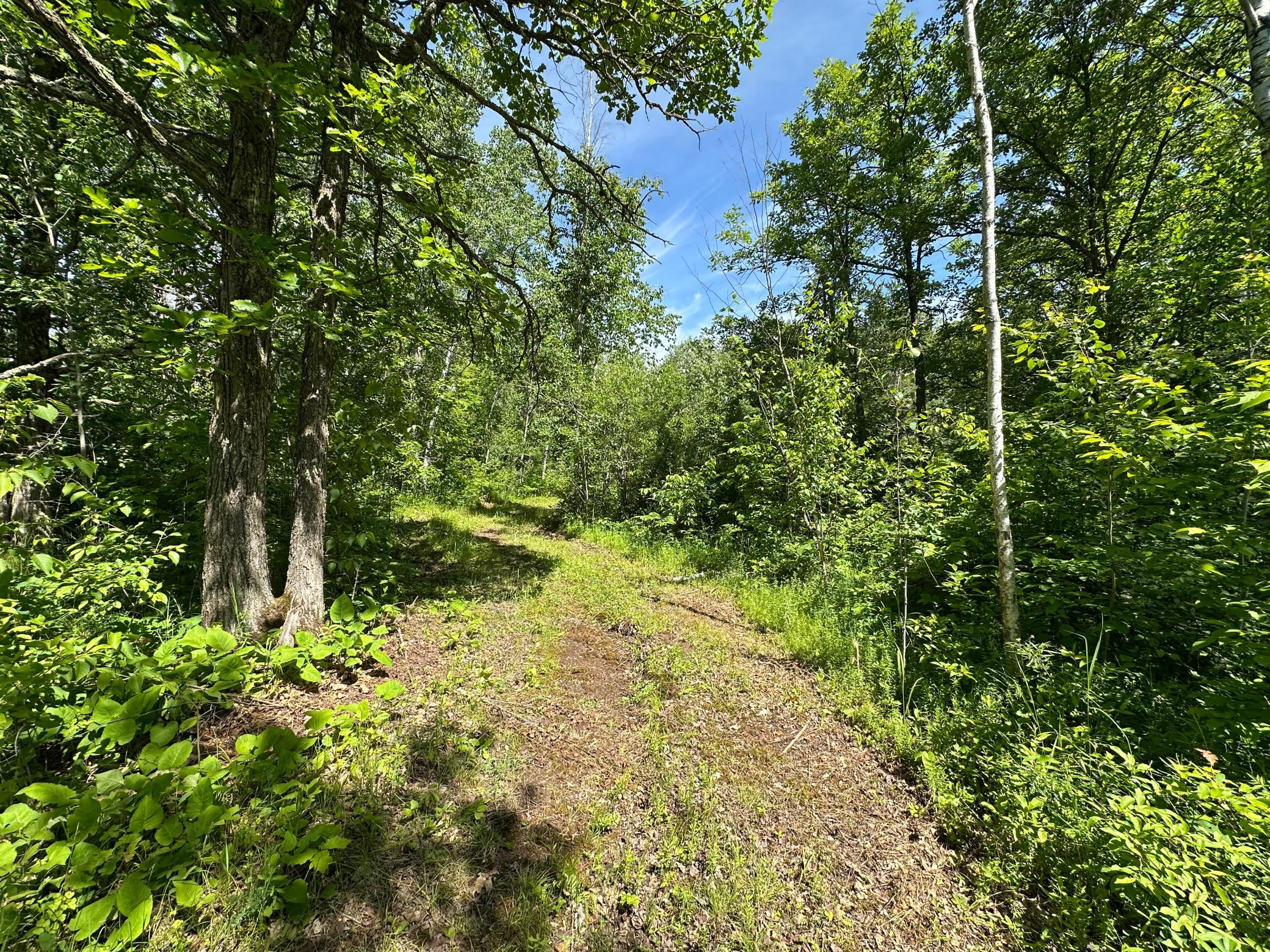 View of Land at TBD Oak Leaf Road, Kerrick MN 55756, Kerrick (2 of 19) - Mike Wilen | Minnesota Team Real Estate