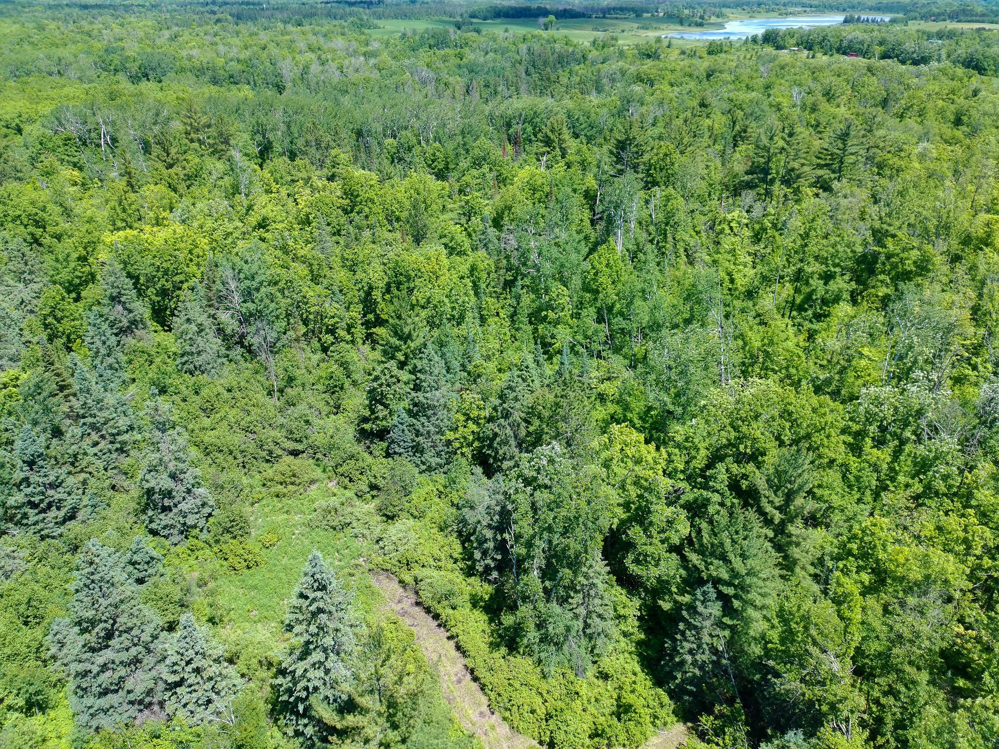 View of Land at TBD Oak Leaf Road, Kerrick MN 55756, Kerrick (14 of 19) - Mike Wilen | Minnesota Team Real Estate