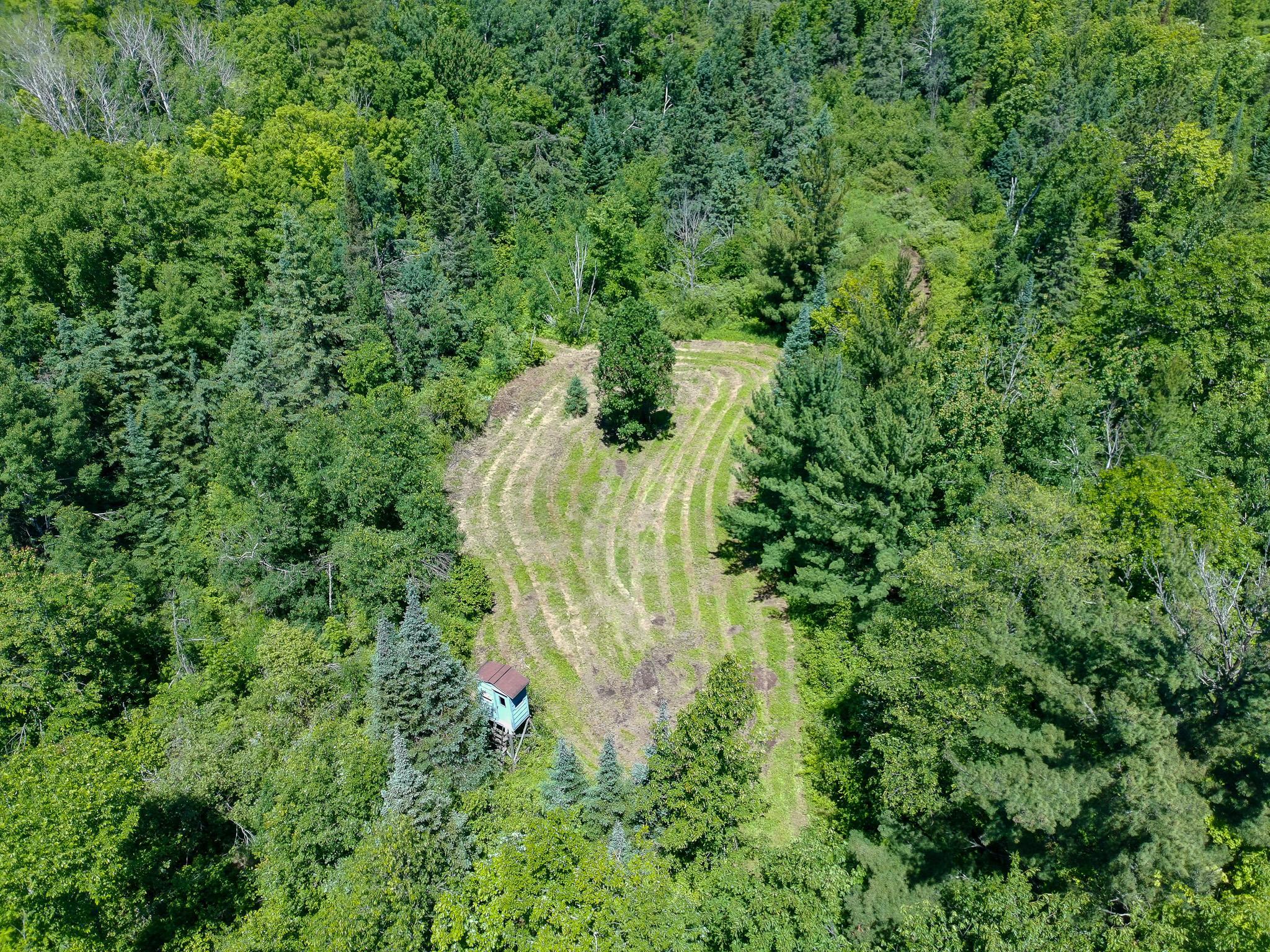 View of Land at TBD Oak Leaf Road, Kerrick MN 55756, Kerrick (11 of 19) - Mike Wilen | Minnesota Team Real Estate