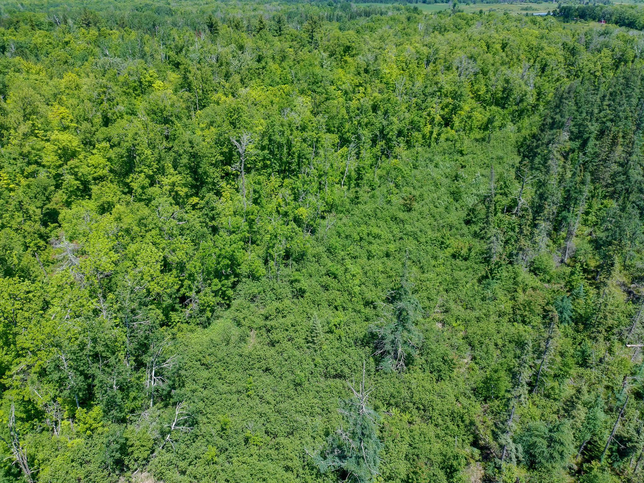 View of Land at TBD Oak Leaf Road, Kerrick MN 55756, Kerrick (10 of 19) - Mike Wilen | Minnesota Team Real Estate