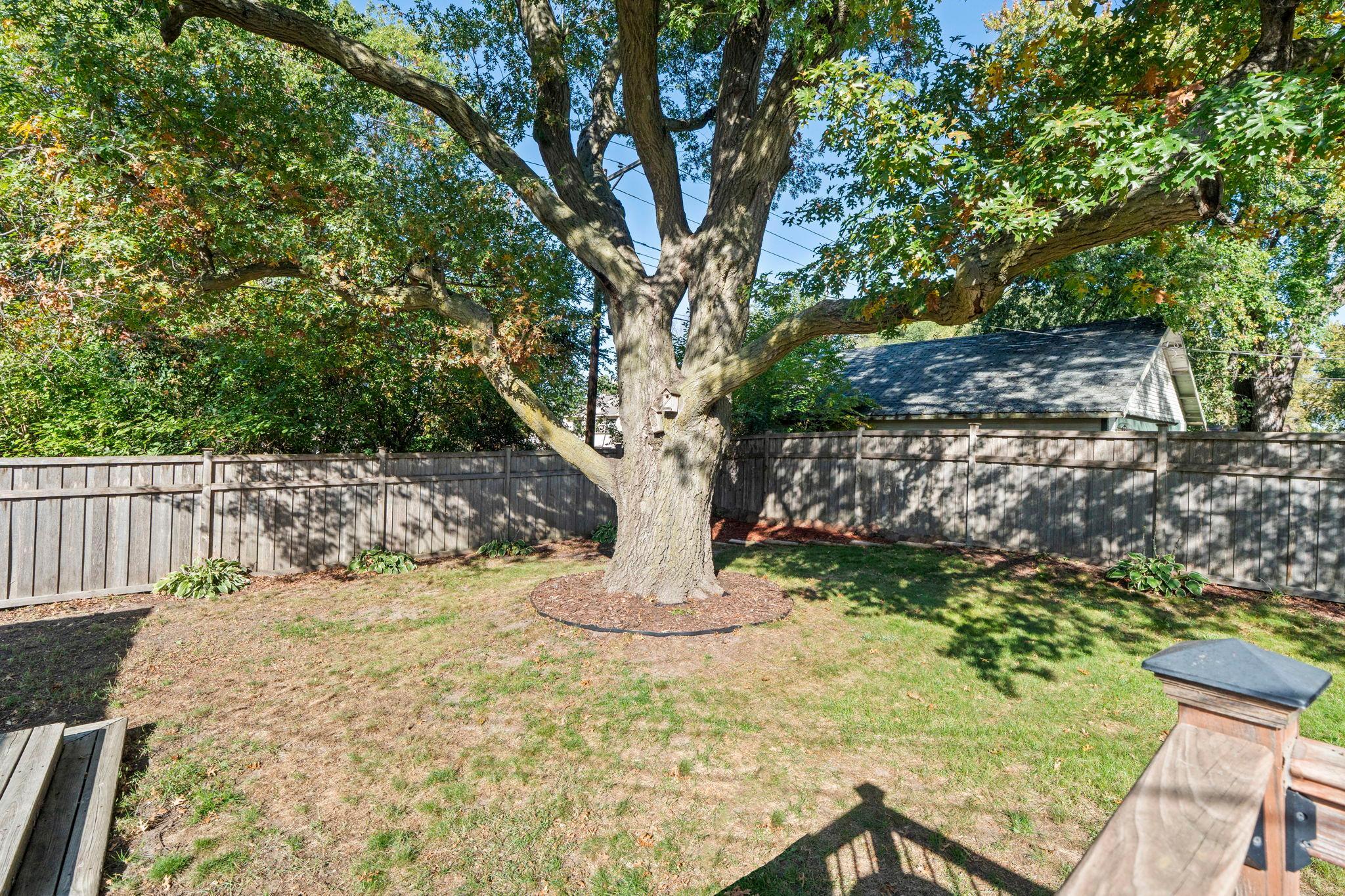 View of Residential at 5843 June Avenue, Brooklyn Center MN 55429, Brooklyn Center (53 of 63) - Mike Wilen | Minnesota Team Real Estate
