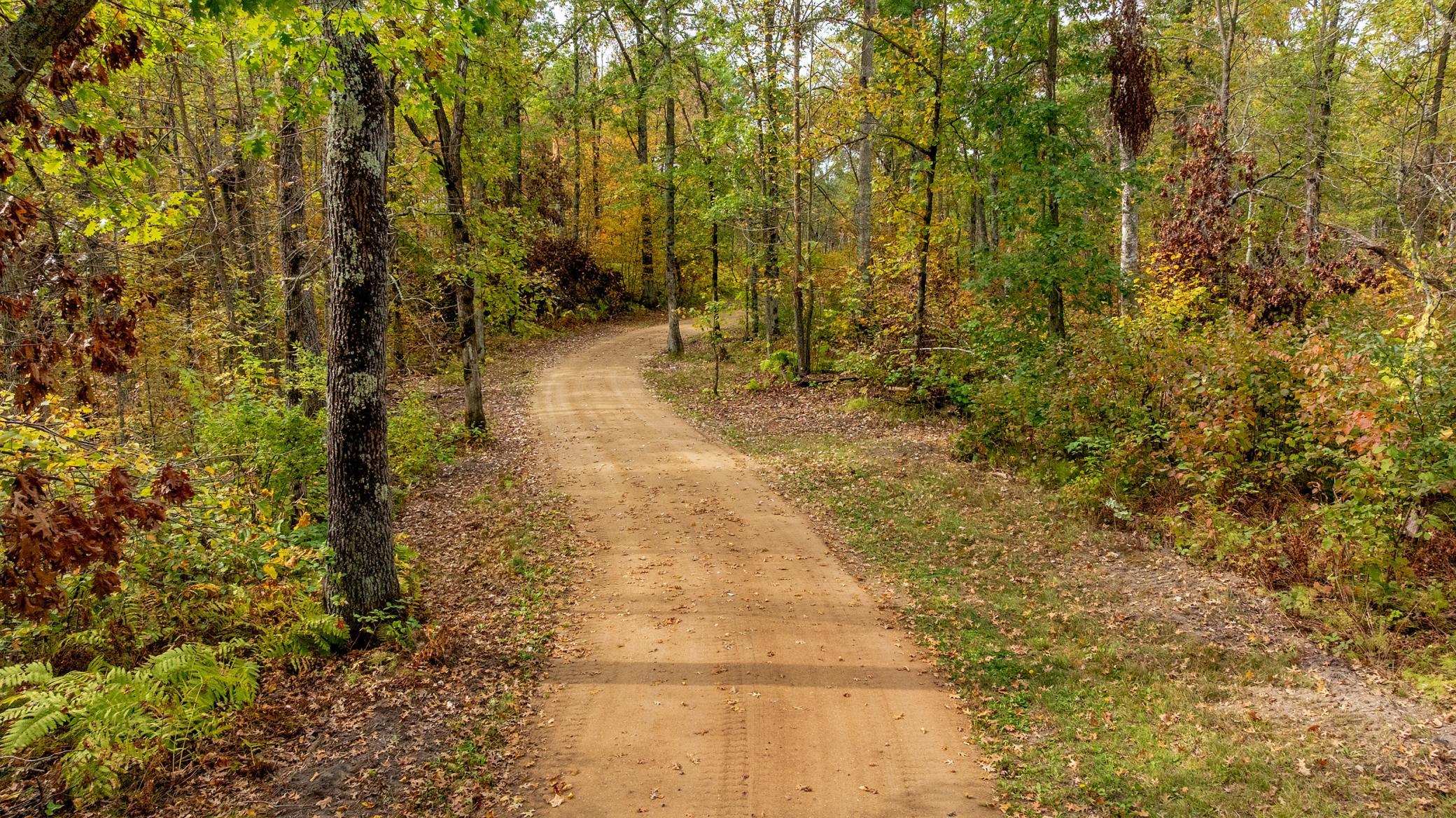 View of Land at Lot 2 Turtle Bay Trail, Crosby MN 56441, Crosby (5 of 10) - Mike Wilen | Minnesota Team Real Estate