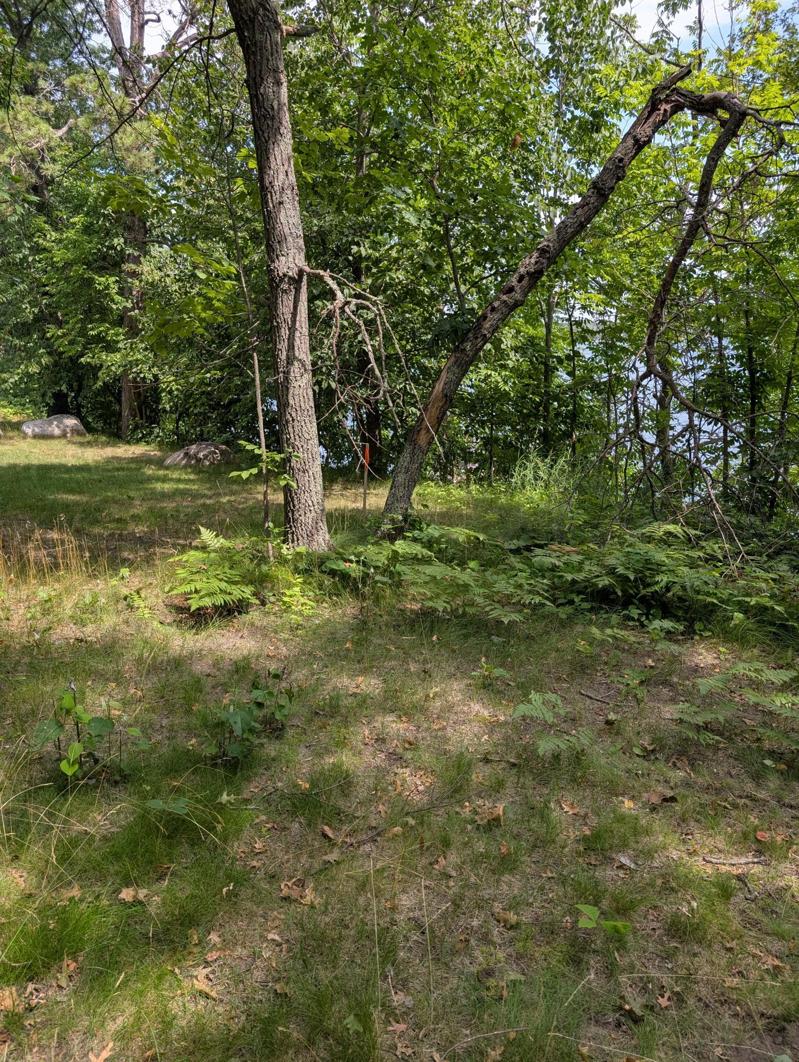 View of Land at Lot 2 Turtle Bay Trail, Crosby MN 56441, Crosby (3 of 10) - Mike Wilen | Minnesota Team Real Estate