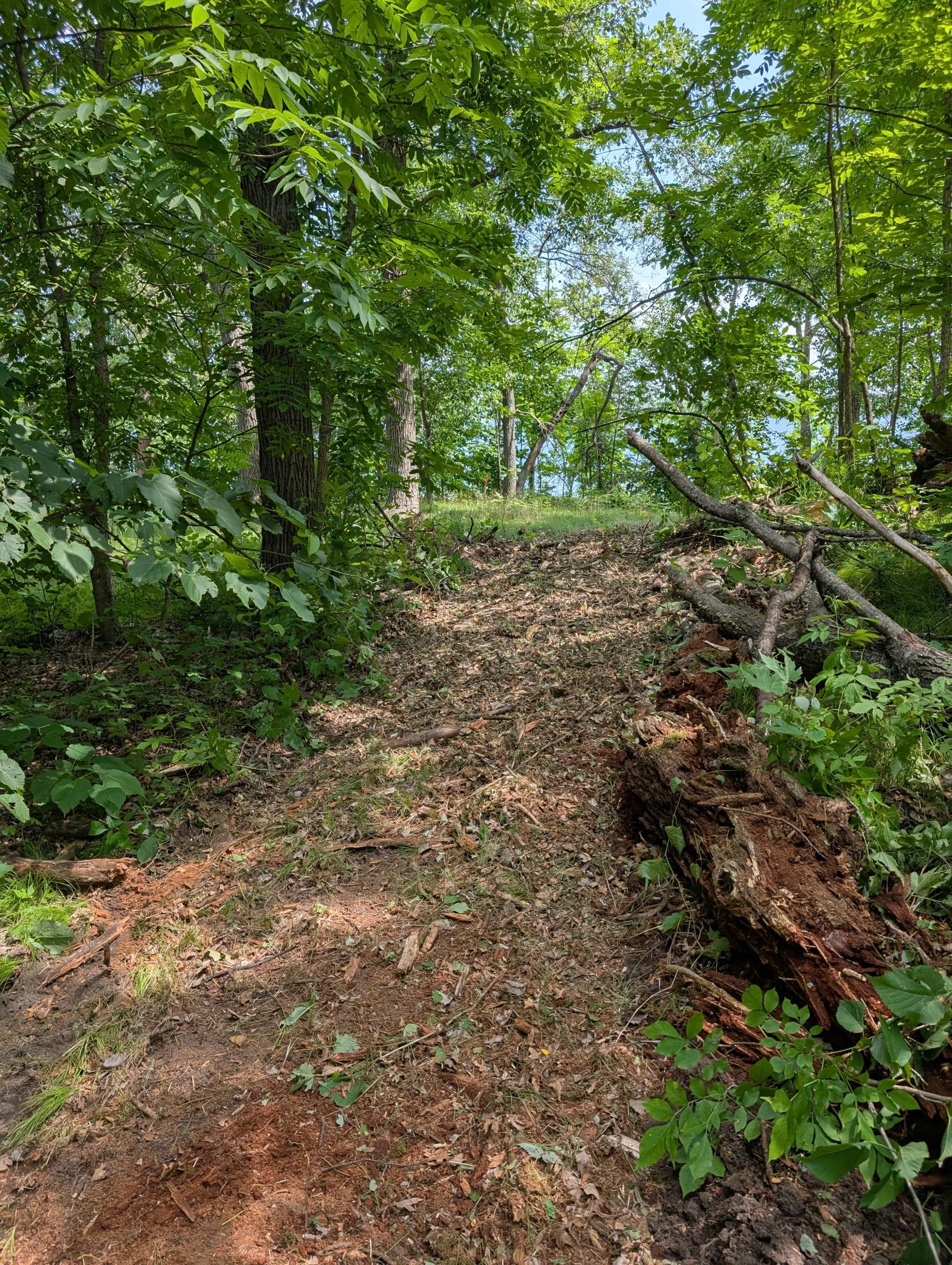 View of Land at Lot 2 Turtle Bay Trail, Crosby MN 56441, Crosby (7 of 10) - Mike Wilen | Minnesota Team Real Estate