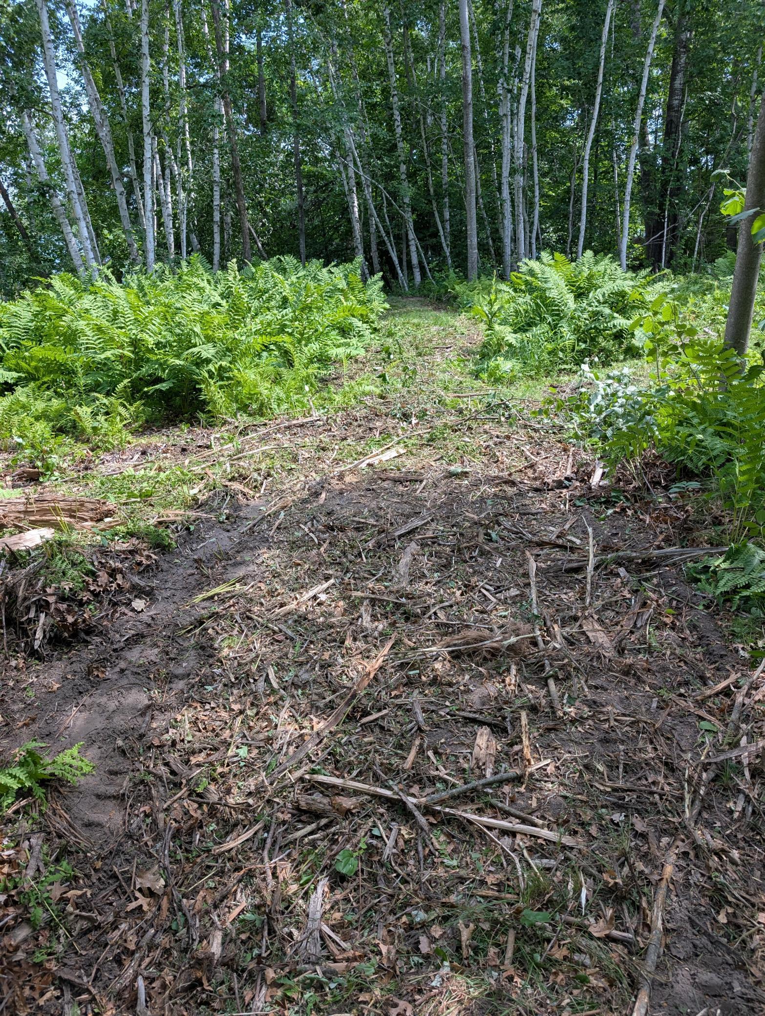 View of Land at Lot 2 Turtle Bay Trail, Crosby MN 56441, Crosby (10 of 10) - Mike Wilen | Minnesota Team Real Estate