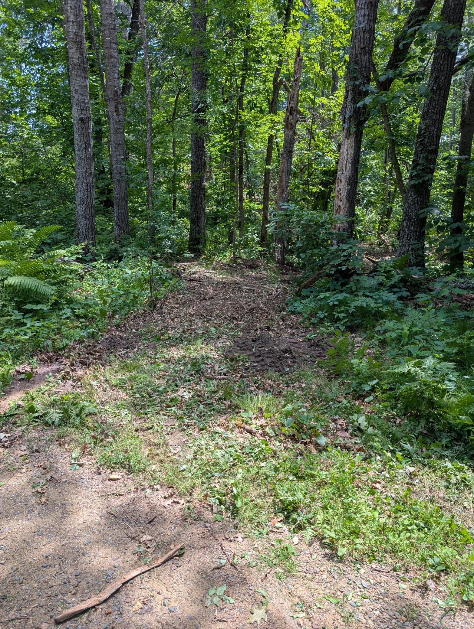 View of Land at Lot 2 Turtle Bay Trail, Crosby MN 56441, Crosby (8 of 10) - Mike Wilen | Minnesota Team Real Estate
