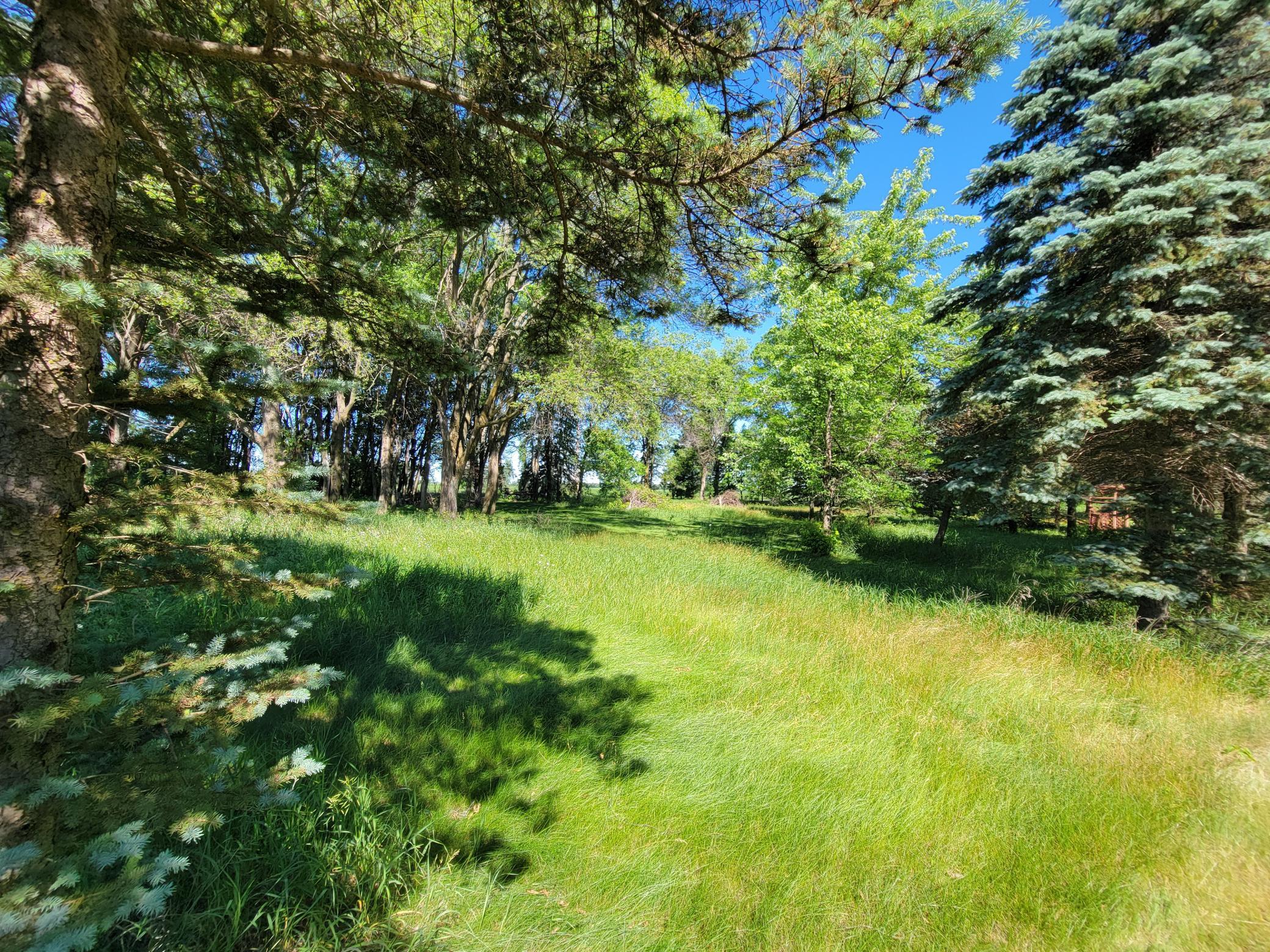 View of Residential at 5182 45th Avenue, Saint Cloud MN 56304, Saint Cloud (41 of 54) - Mike Wilen | Minnesota Team Real Estate