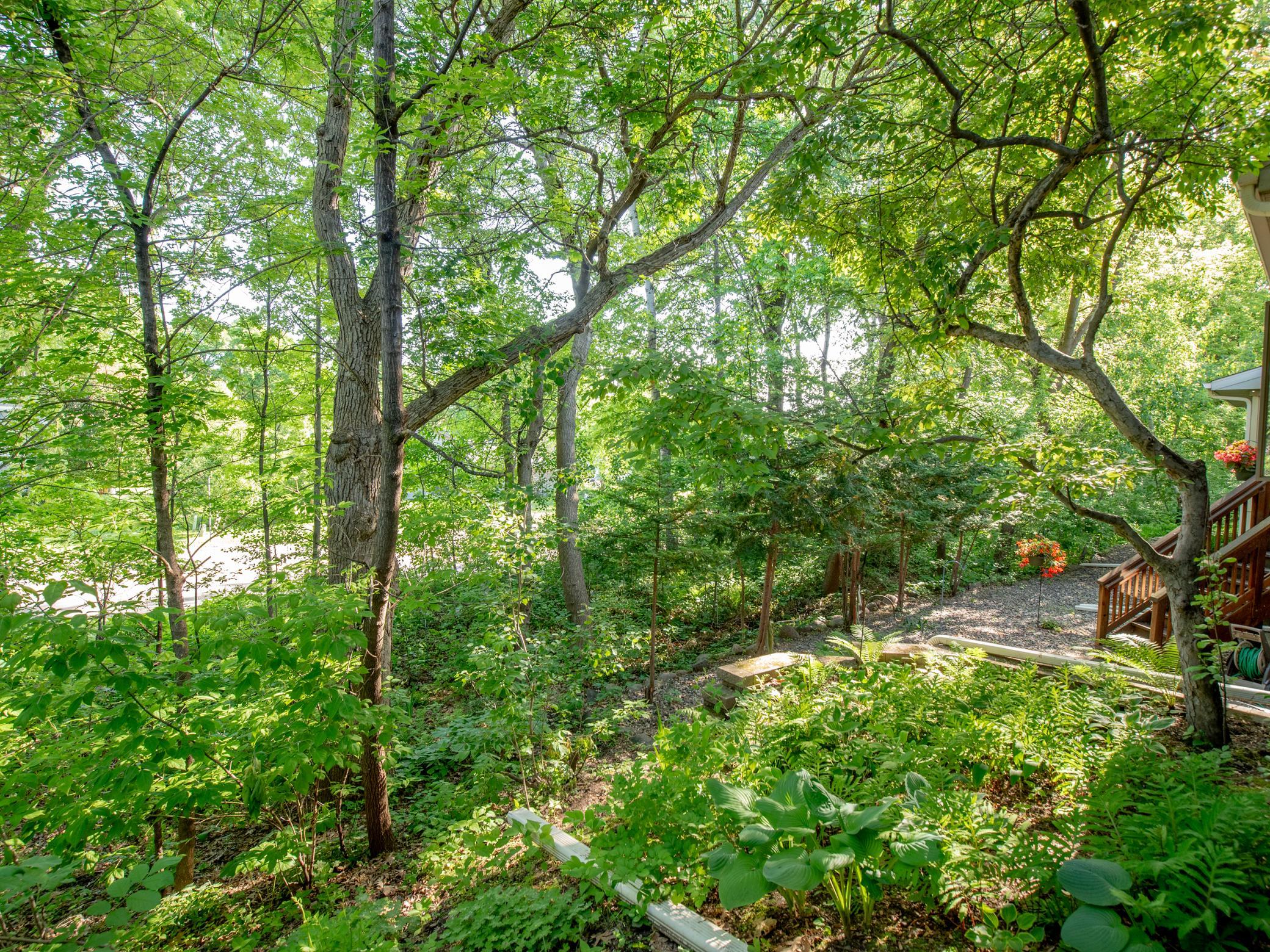 View of Residential at 493 Sterling Street, Maplewood MN 55119, Maplewood (34 of 37) - Mike Wilen | Minnesota Team Real Estate