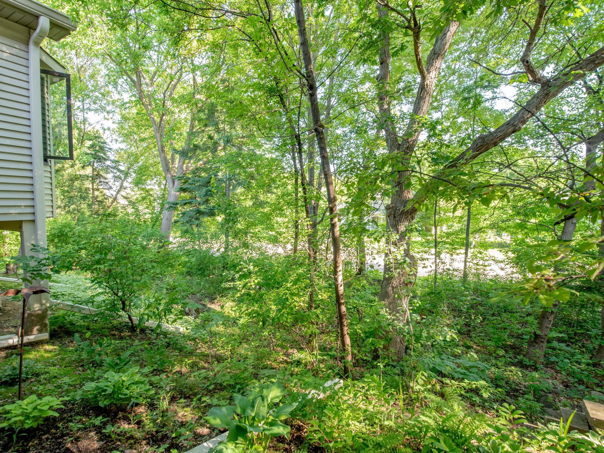 View of Residential at 493 Sterling Street, Maplewood MN 55119, Maplewood (36 of 37) - Mike Wilen | Minnesota Team Real Estate