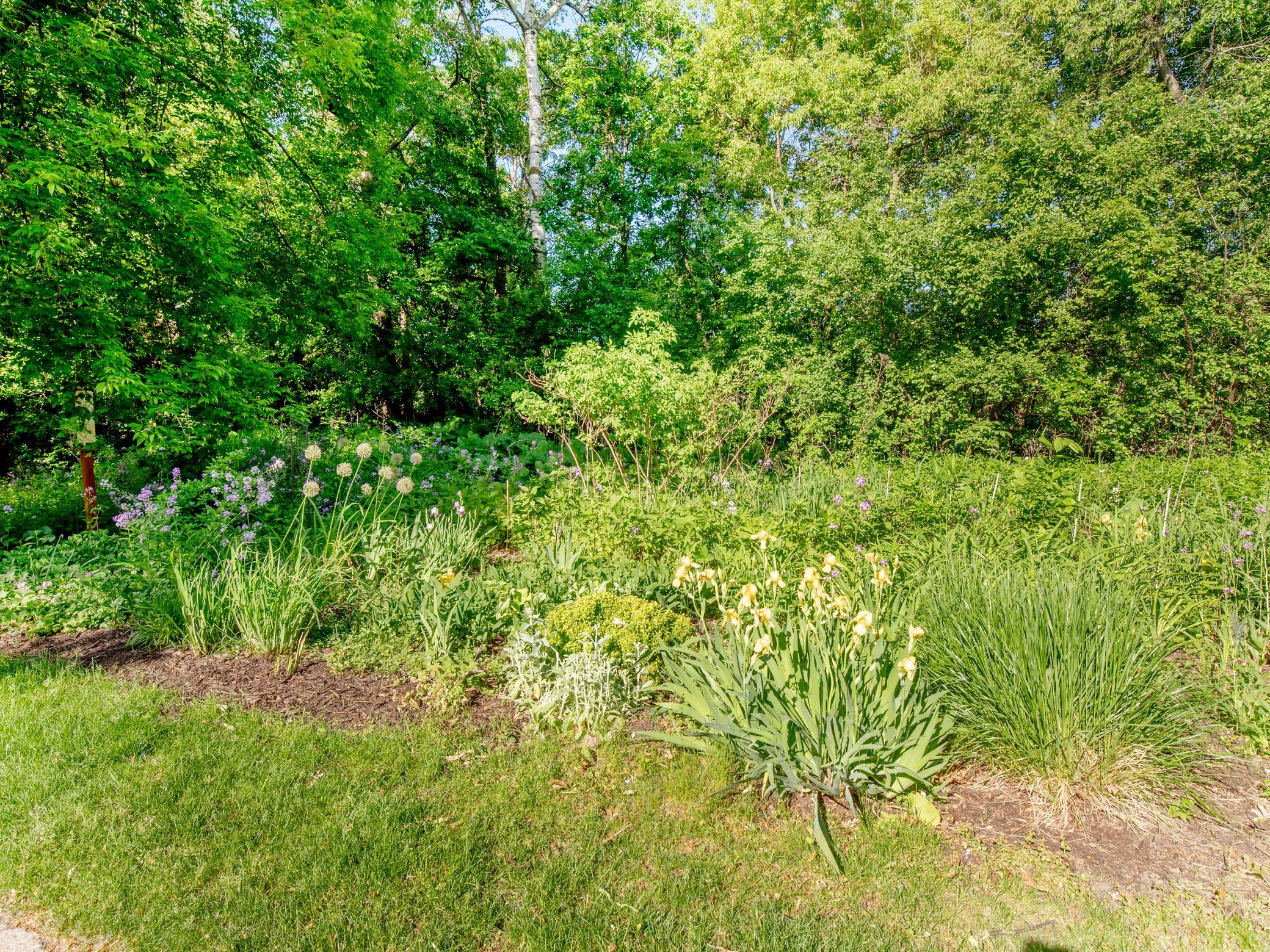 View of Residential at 493 Sterling Street, Maplewood MN 55119, Maplewood (35 of 37) - Mike Wilen | Minnesota Team Real Estate