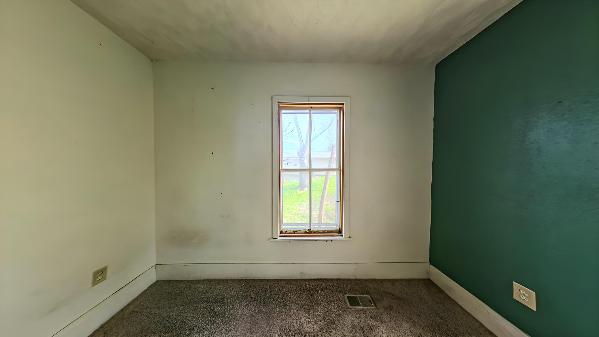 View of Residential at 320 3rd Street, Le Sueur MN 56058, Le Sueur (10 of 21) - Mike Wilen | Minnesota Team Real Estate