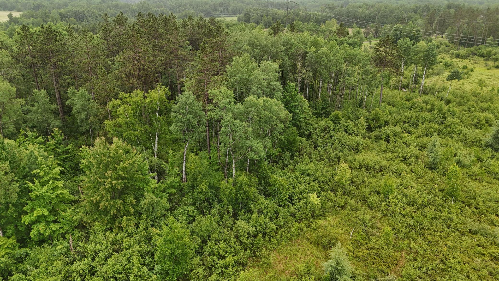View of Land at TBD Klejeski Road, Sandstone MN 55072, Sandstone (30 of 33) - Mike Wilen | Minnesota Team Real Estate