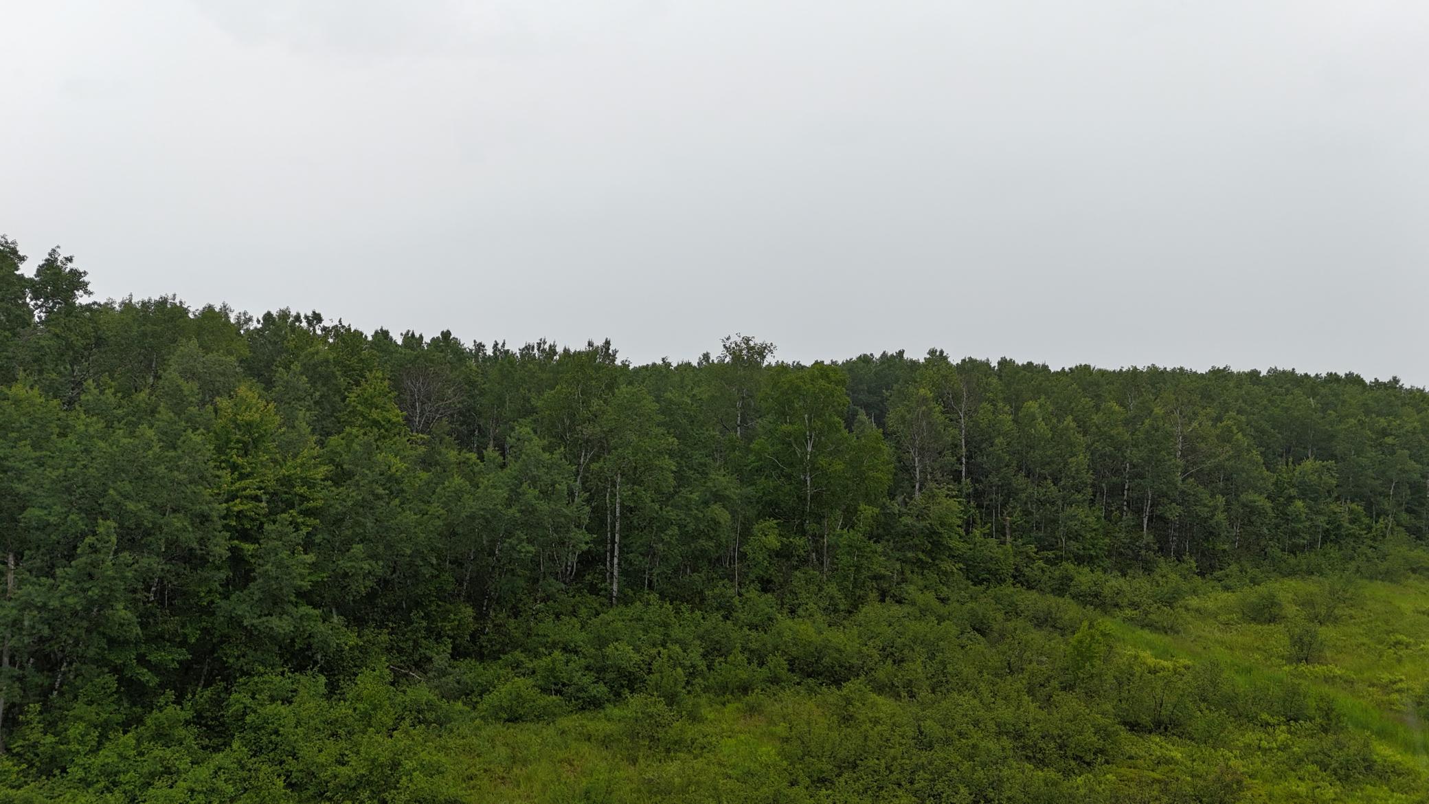 View of Land at TBD Klejeski Road, Sandstone MN 55072, Sandstone (29 of 33) - Mike Wilen | Minnesota Team Real Estate