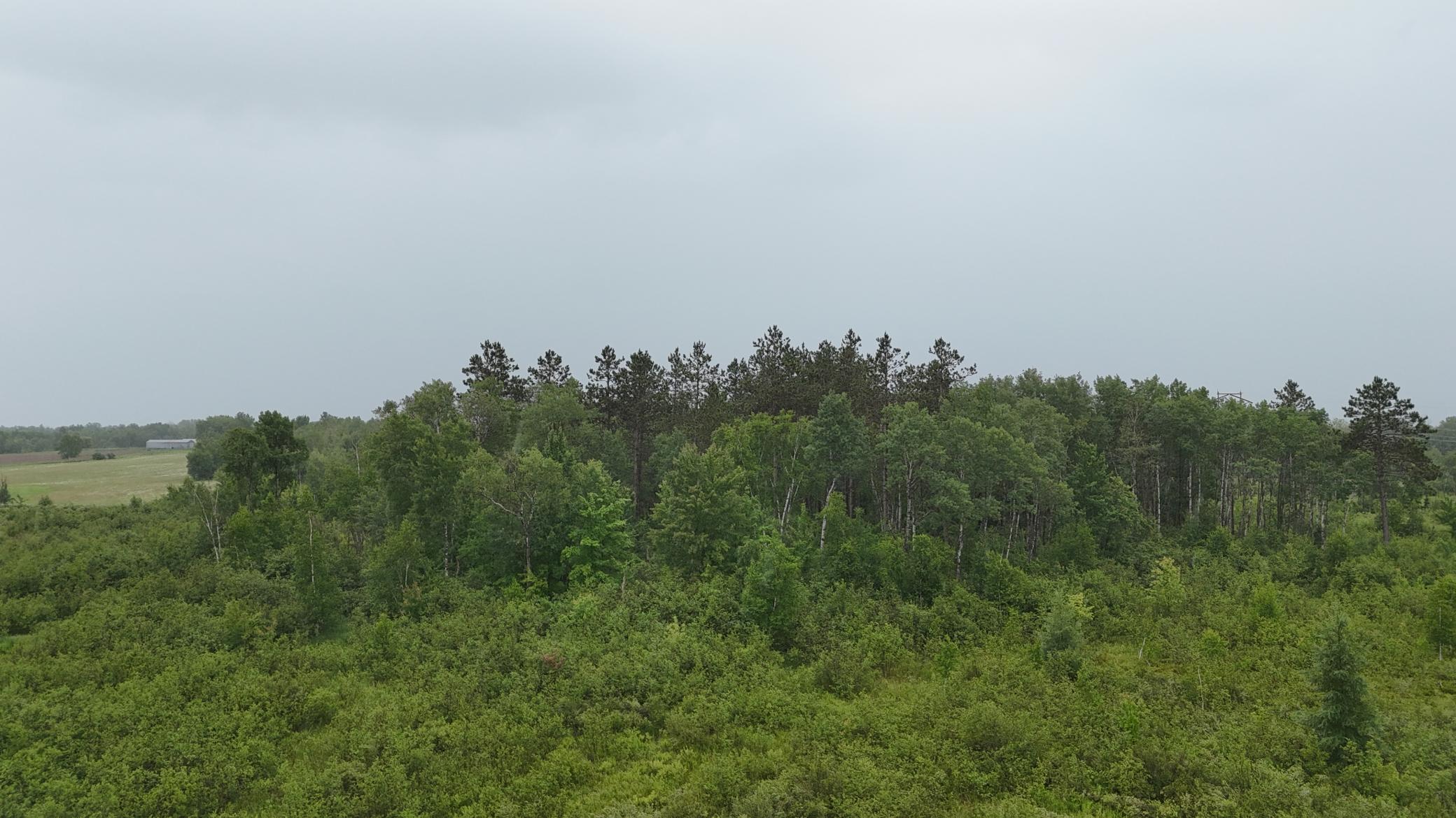 View of Land at TBD Klejeski Road, Sandstone MN 55072, Sandstone (28 of 33) - Mike Wilen | Minnesota Team Real Estate
