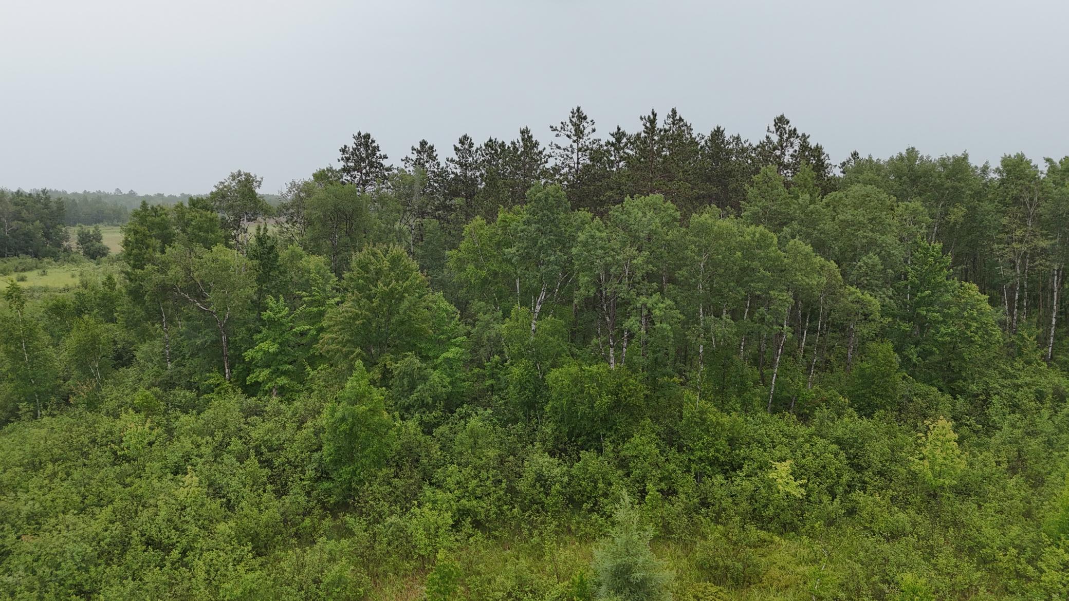 View of Land at TBD Klejeski Road, Sandstone MN 55072, Sandstone (27 of 33) - Mike Wilen | Minnesota Team Real Estate