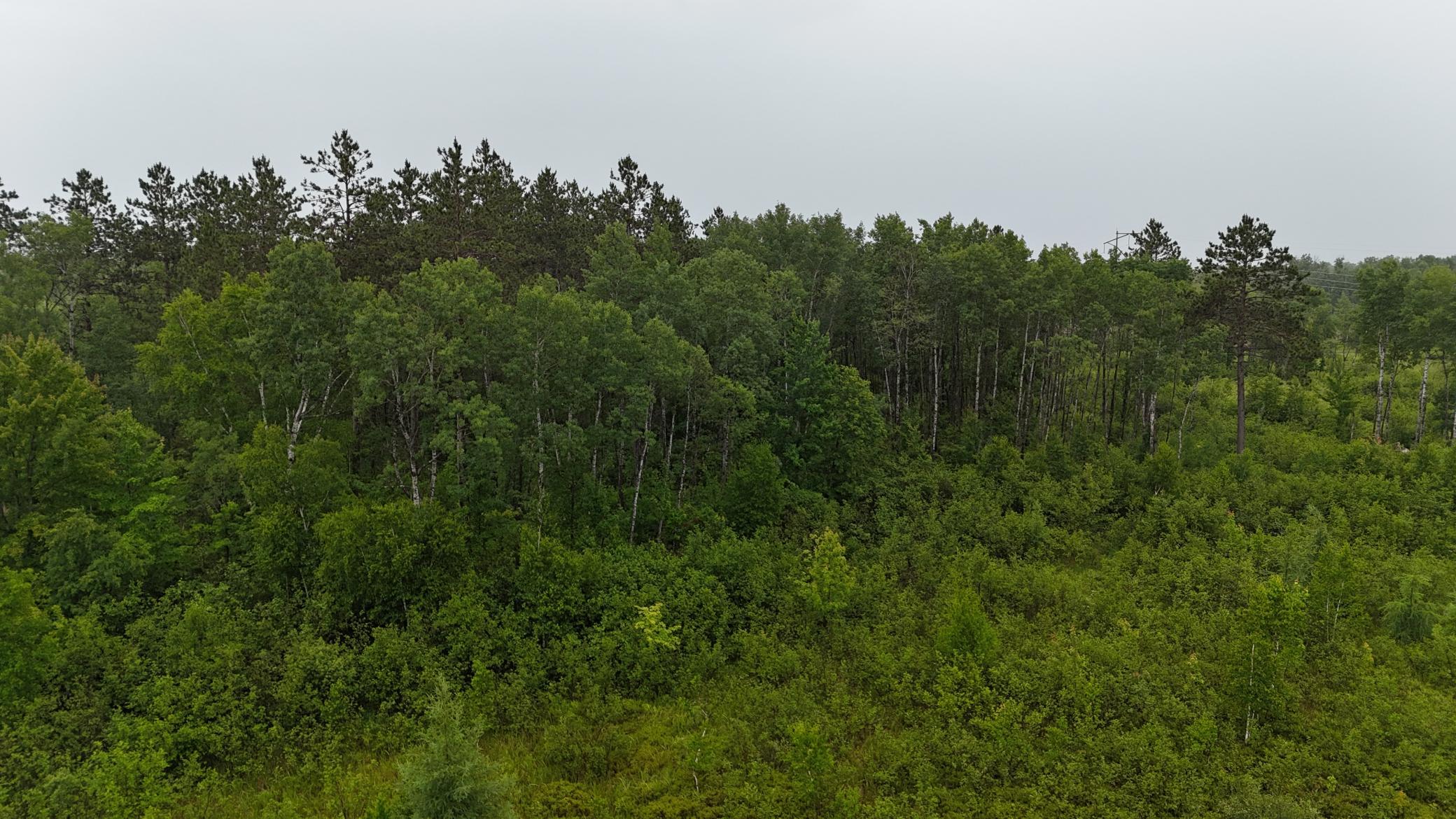 View of Land at TBD Klejeski Road, Sandstone MN 55072, Sandstone (26 of 33) - Mike Wilen | Minnesota Team Real Estate