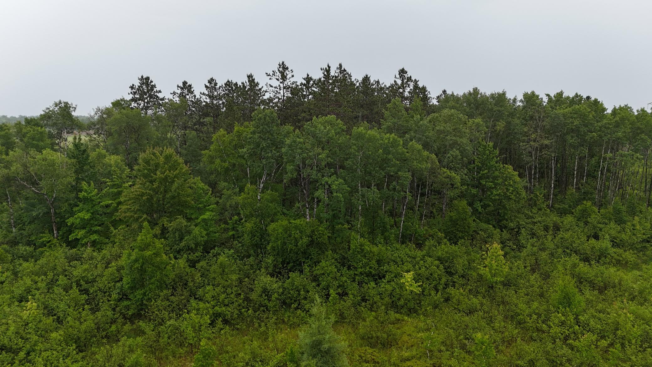 View of Land at TBD Klejeski Road, Sandstone MN 55072, Sandstone (25 of 33) - Mike Wilen | Minnesota Team Real Estate