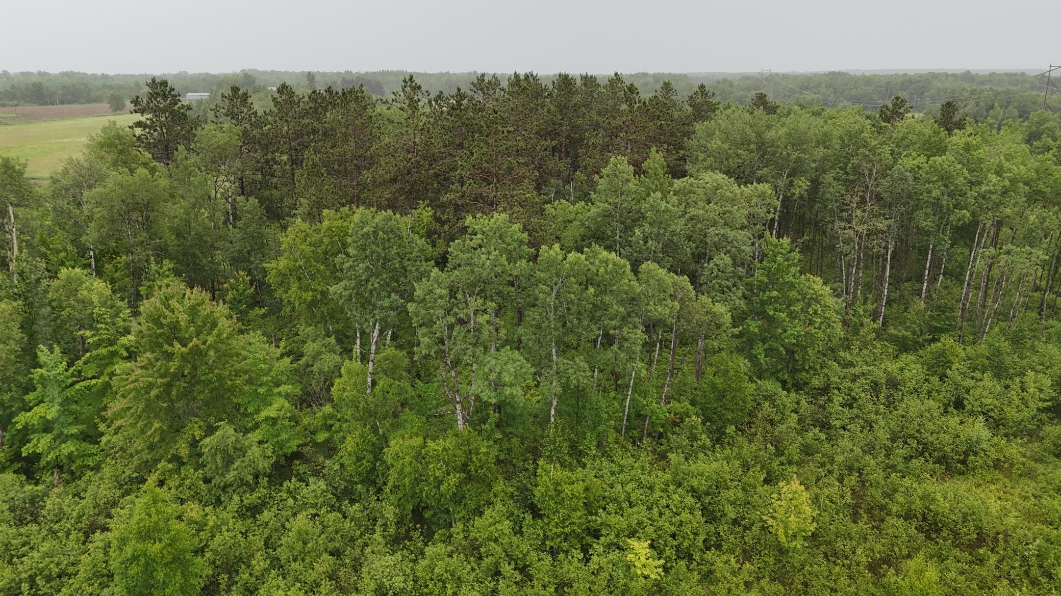 View of Land at TBD Klejeski Road, Sandstone MN 55072, Sandstone (24 of 33) - Mike Wilen | Minnesota Team Real Estate