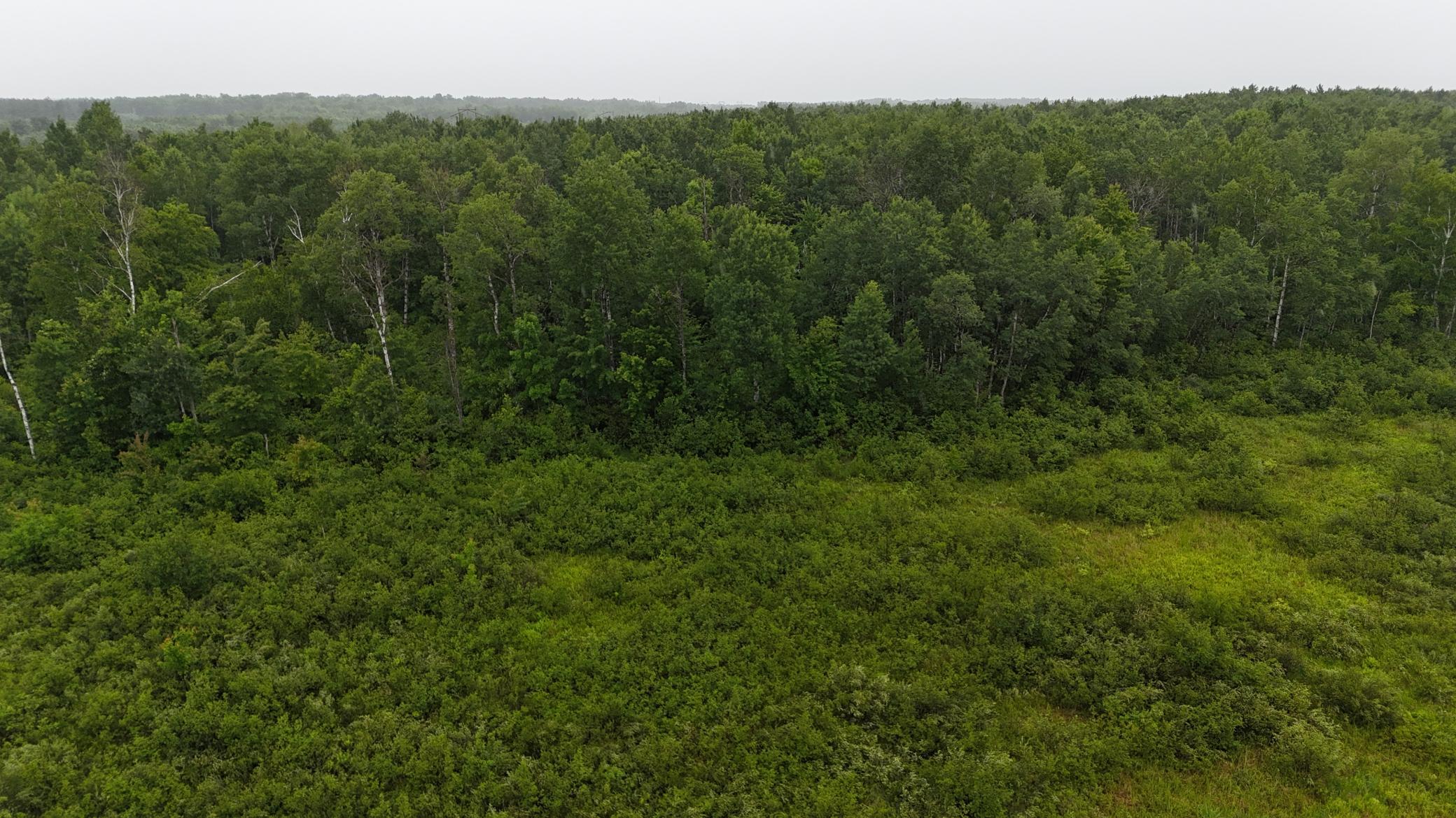 View of Land at TBD Klejeski Road, Sandstone MN 55072, Sandstone (23 of 33) - Mike Wilen | Minnesota Team Real Estate
