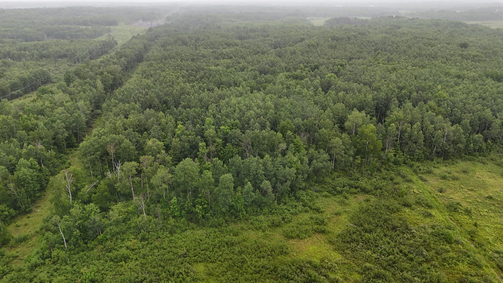 View of Land at TBD Klejeski Road, Sandstone MN 55072, Sandstone (22 of 33) - Mike Wilen | Minnesota Team Real Estate