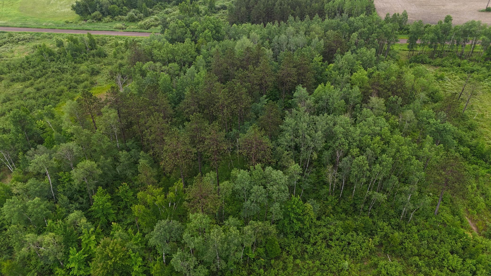 View of Land at TBD Klejeski Road, Sandstone MN 55072, Sandstone (13 of 33) - Mike Wilen | Minnesota Team Real Estate