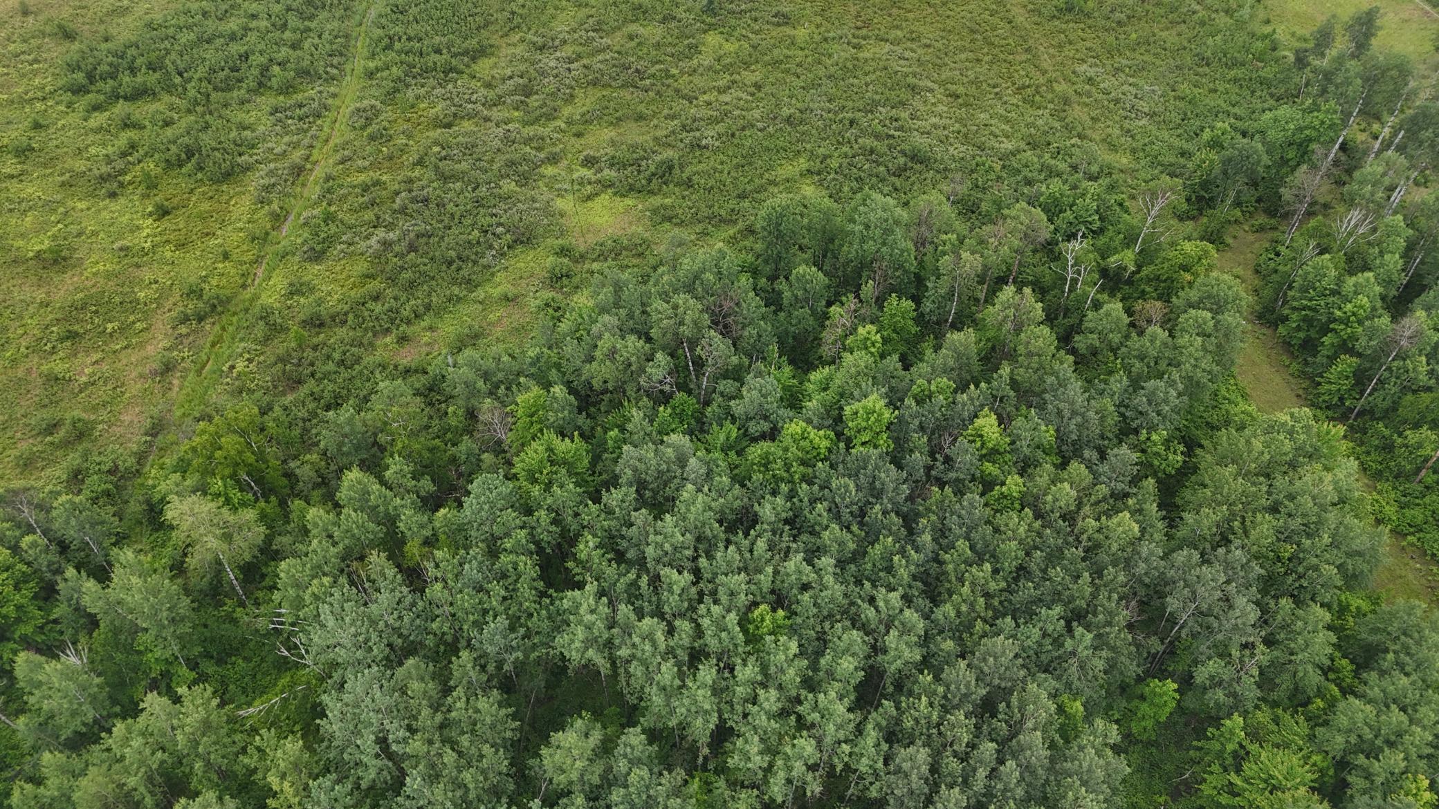 View of Land at TBD Klejeski Road, Sandstone MN 55072, Sandstone (21 of 33) - Mike Wilen | Minnesota Team Real Estate
