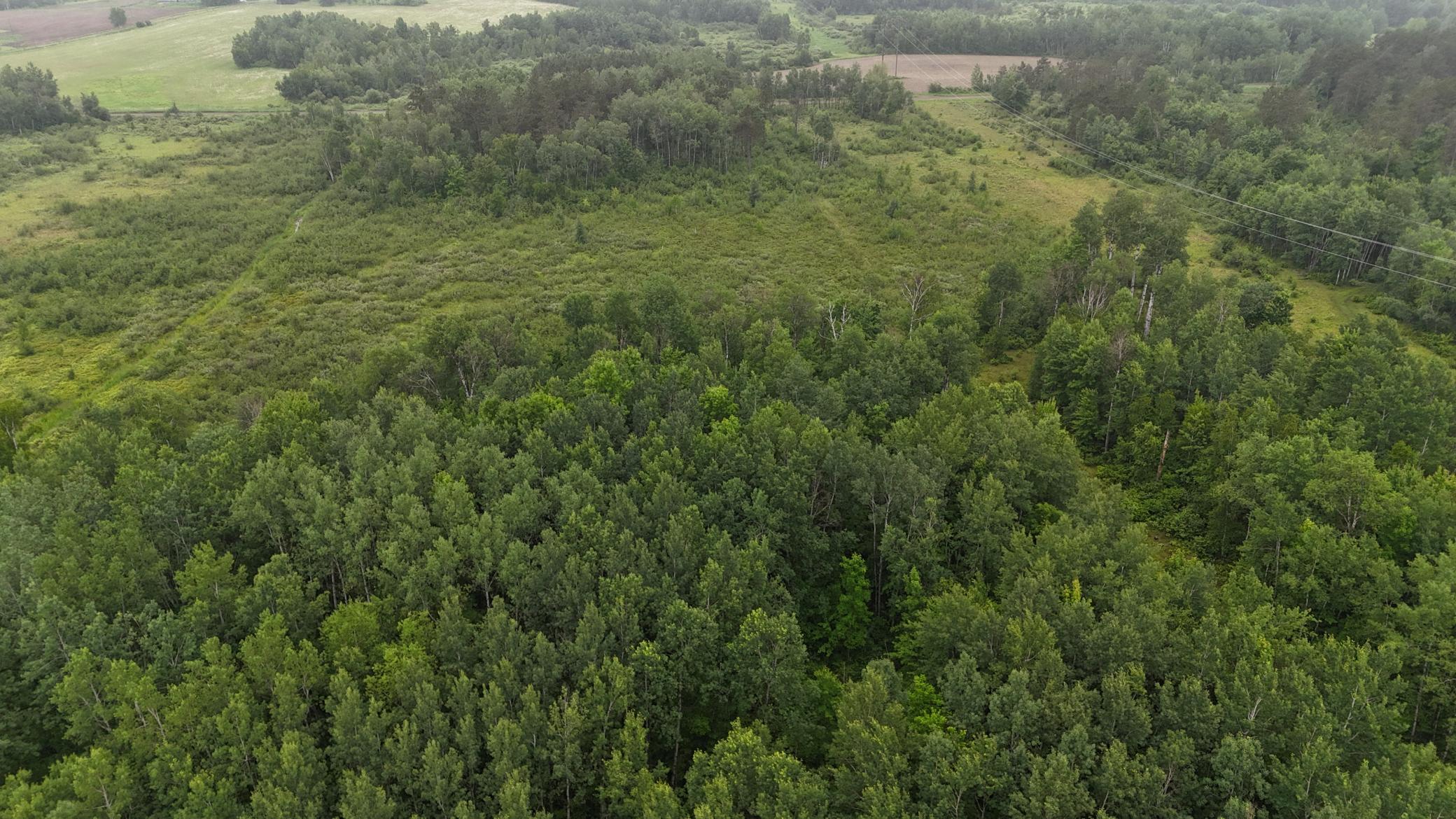 View of Land at TBD Klejeski Road, Sandstone MN 55072, Sandstone (19 of 33) - Mike Wilen | Minnesota Team Real Estate