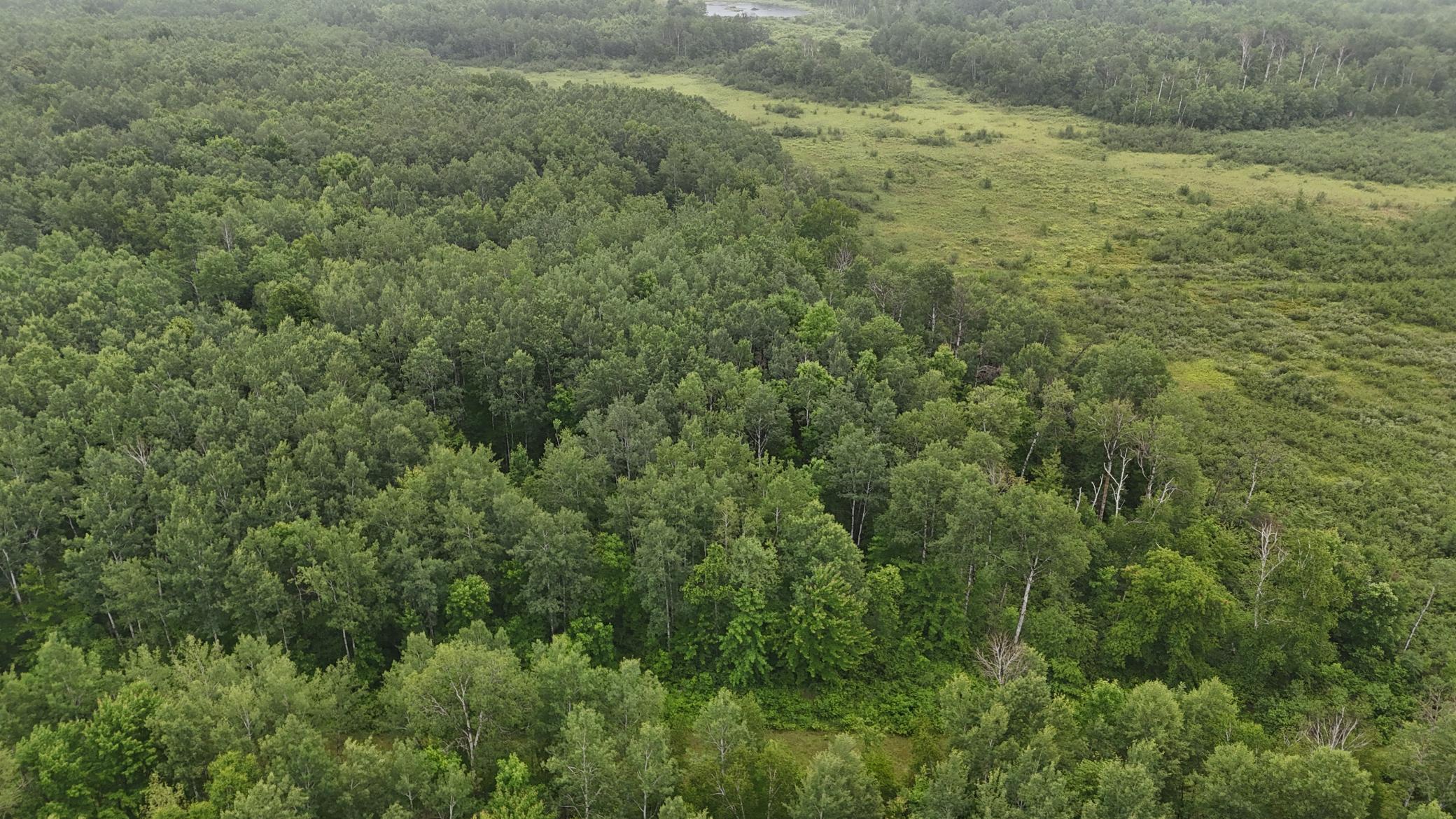 View of Land at TBD Klejeski Road, Sandstone MN 55072, Sandstone (18 of 33) - Mike Wilen | Minnesota Team Real Estate