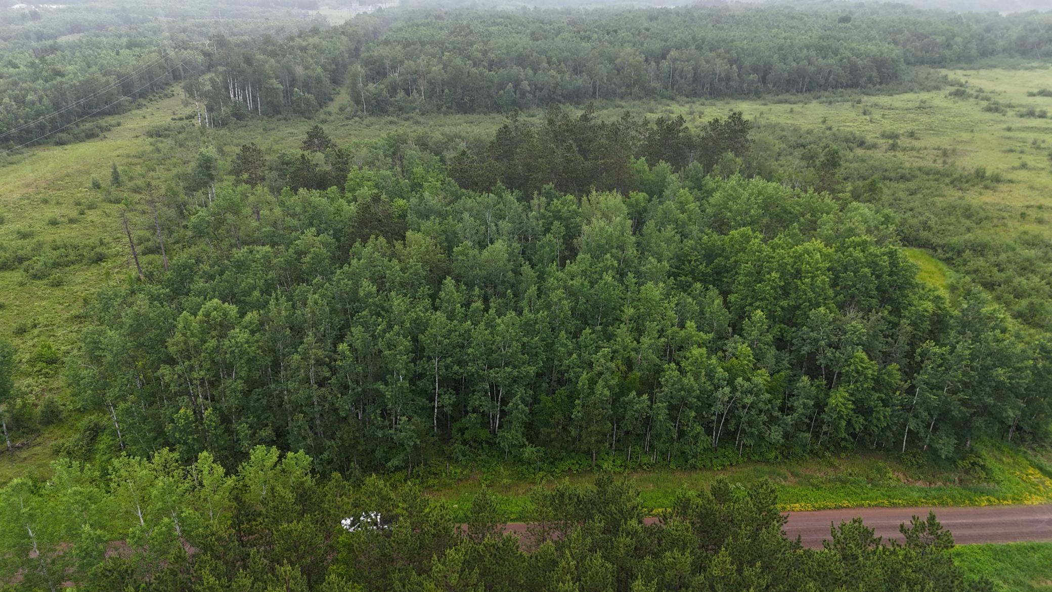 View of Land at TBD Klejeski Road, Sandstone MN 55072, Sandstone (2 of 33) - Mike Wilen | Minnesota Team Real Estate