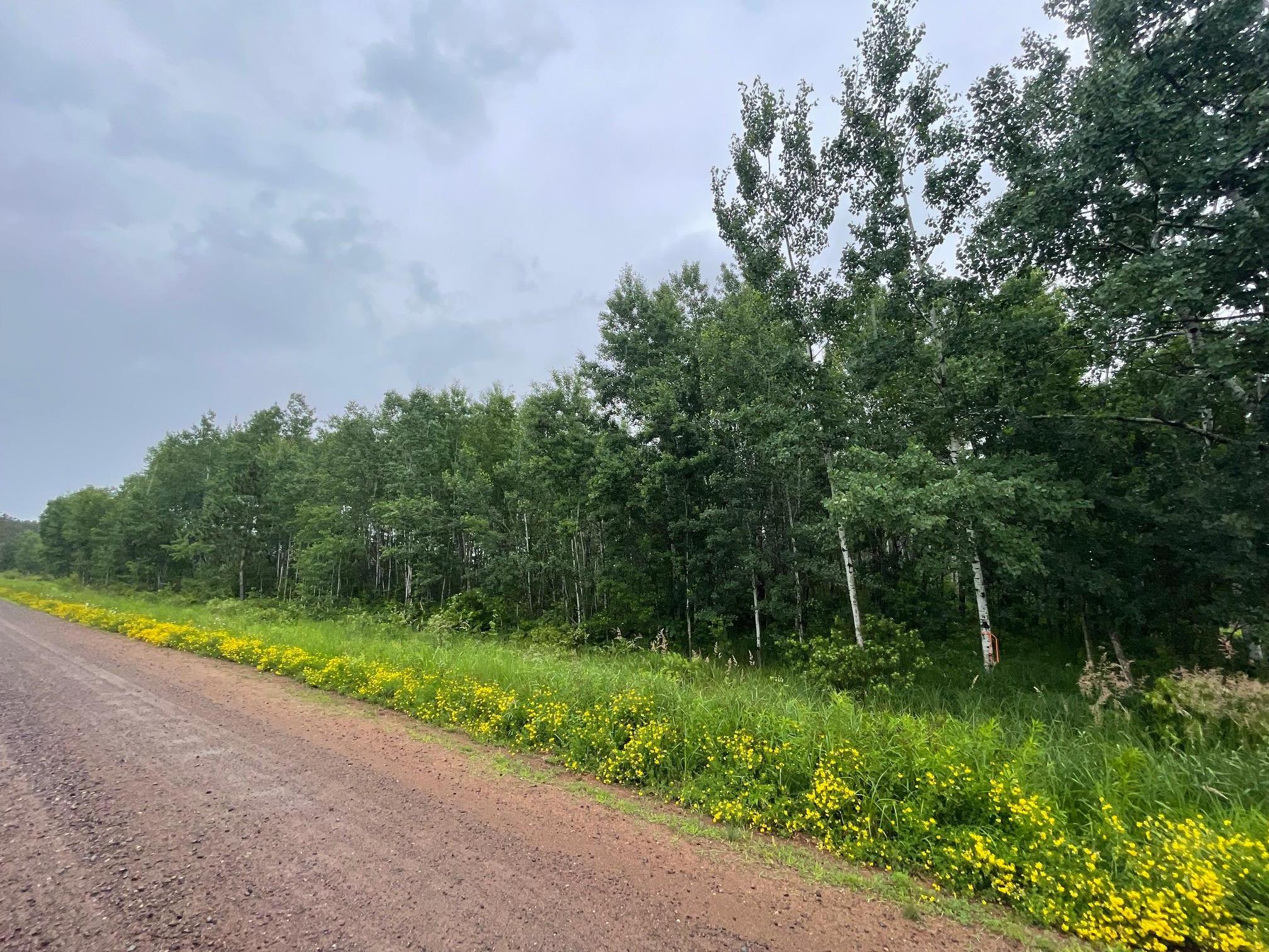 View of Land at TBD Klejeski Road, Sandstone MN 55072, Sandstone (5 of 33) - Mike Wilen | Minnesota Team Real Estate