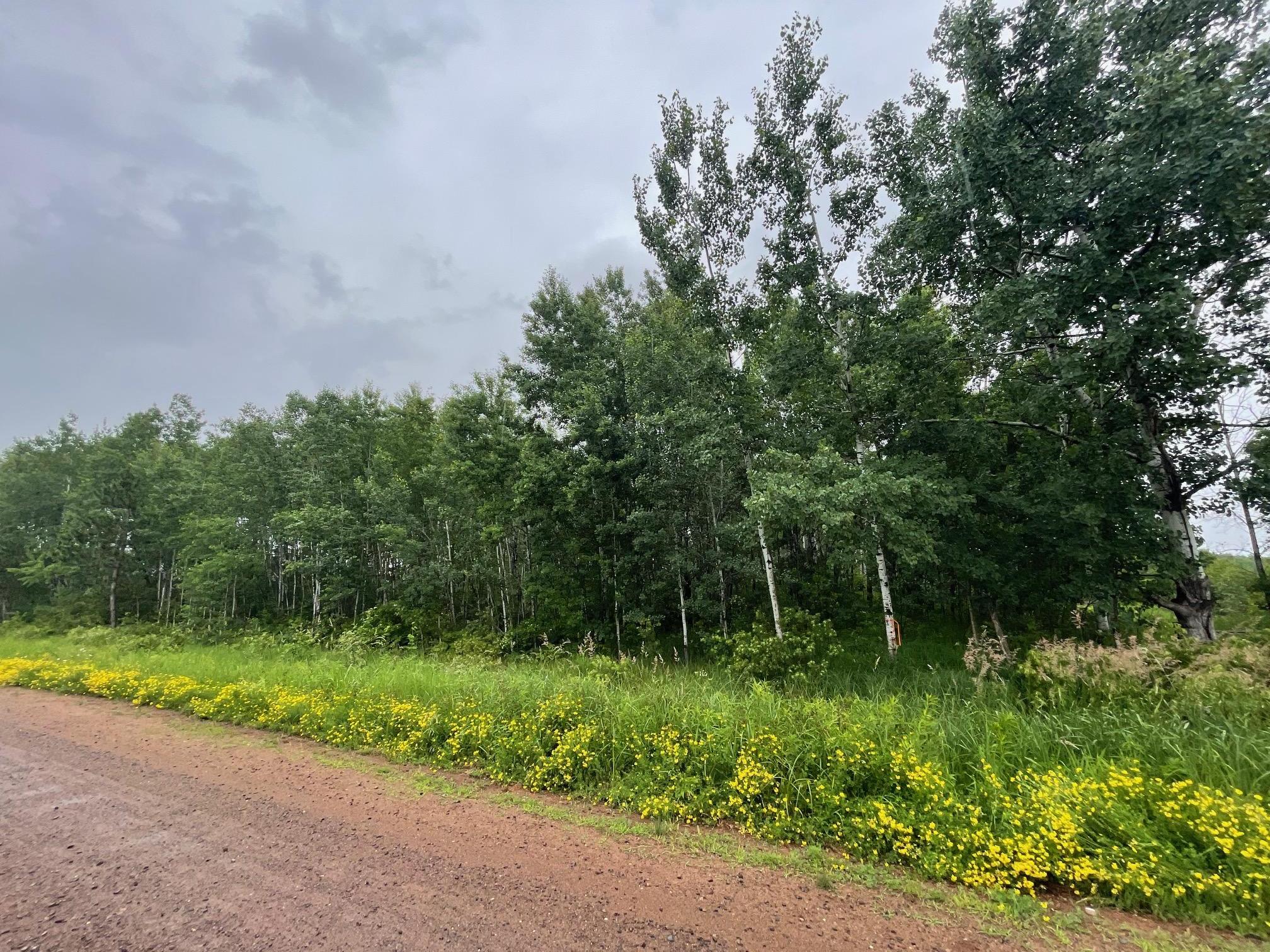 View of Land at TBD Klejeski Road, Sandstone MN 55072, Sandstone (32 of 33) - Mike Wilen | Minnesota Team Real Estate