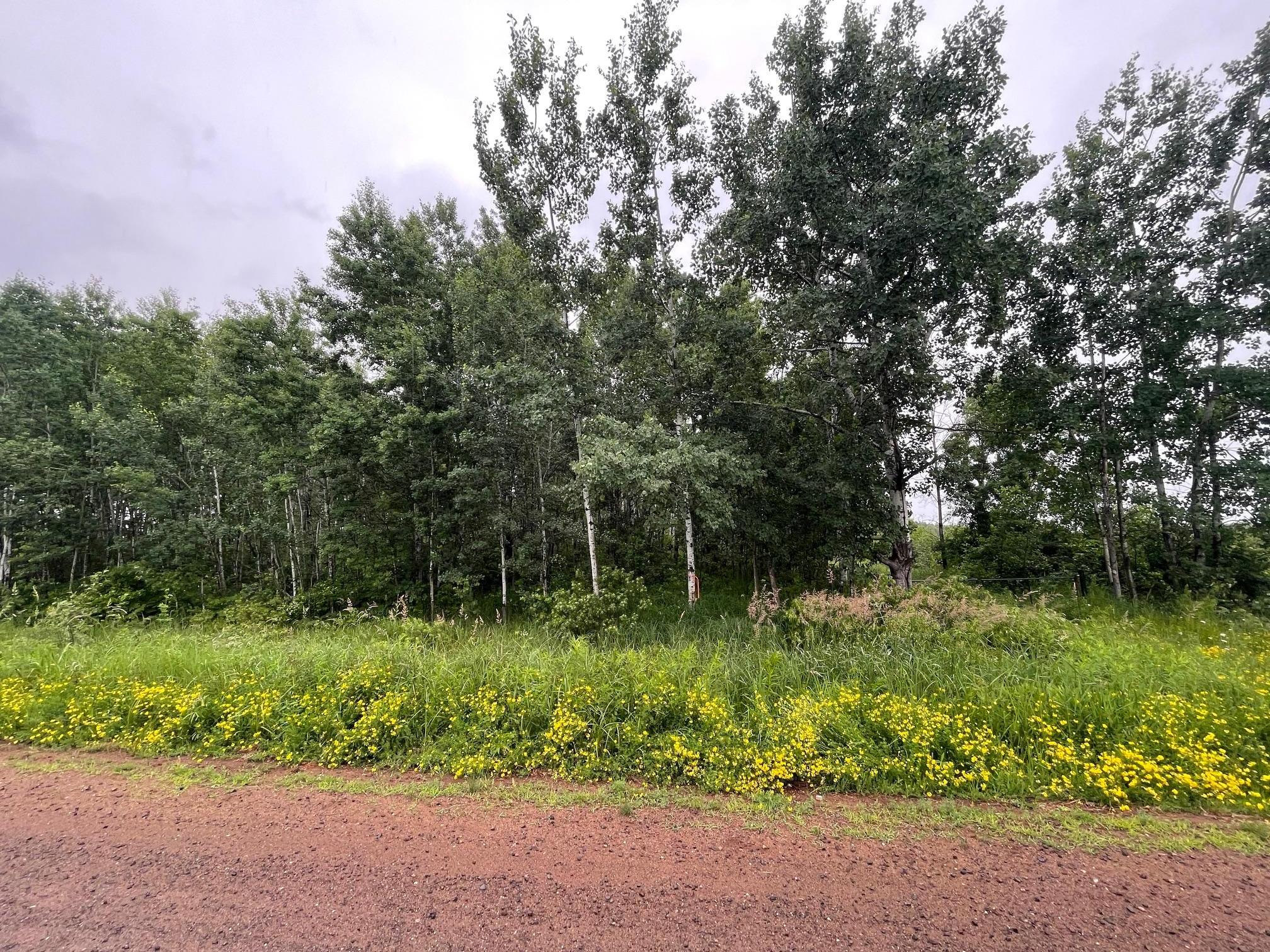 View of Land at TBD Klejeski Road, Sandstone MN 55072, Sandstone (8 of 33) - Mike Wilen | Minnesota Team Real Estate