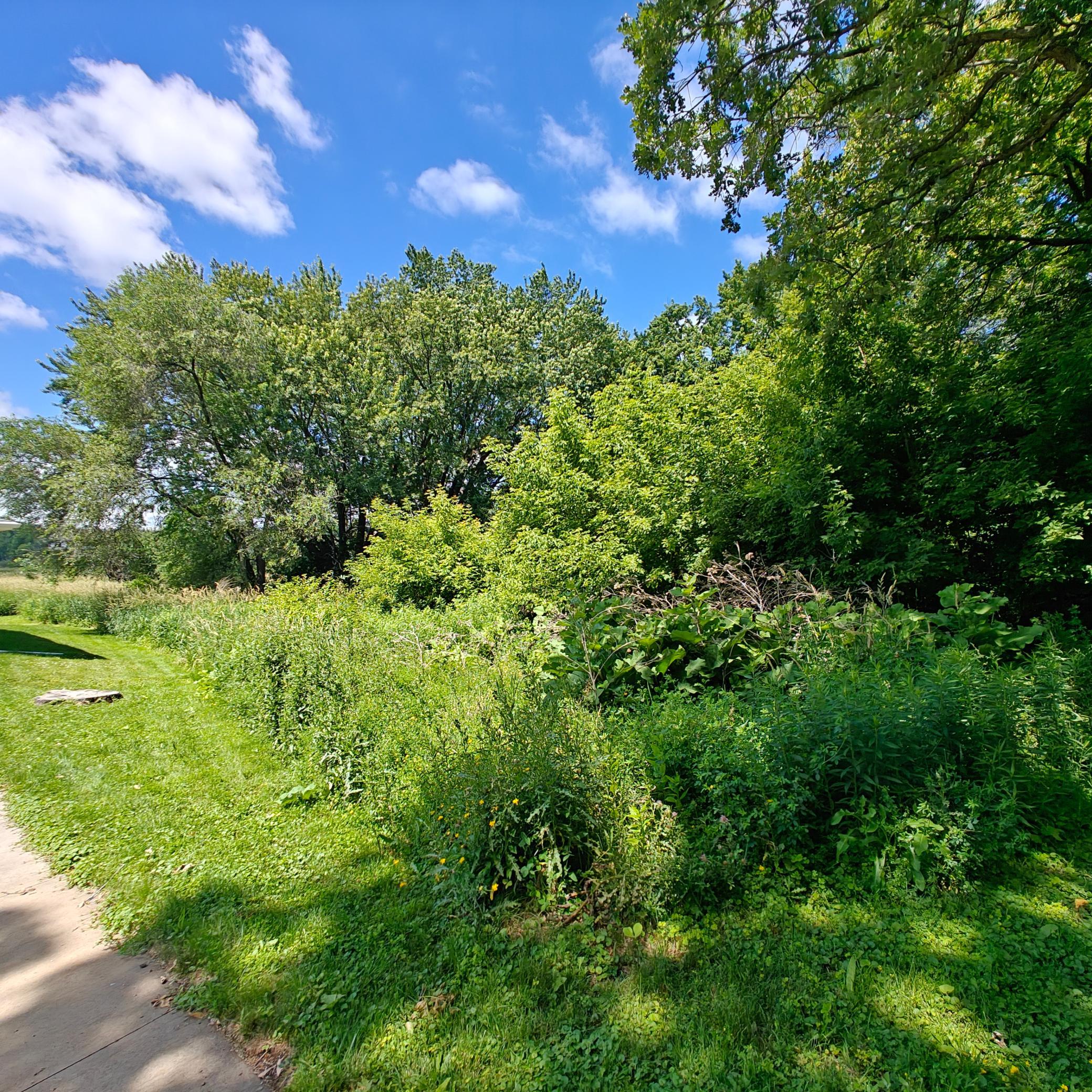 View of Land at 18 Westwood Circle, Hopkins MN 55305, Hopkins (7 of 7) - Mike Wilen | Minnesota Team Real Estate