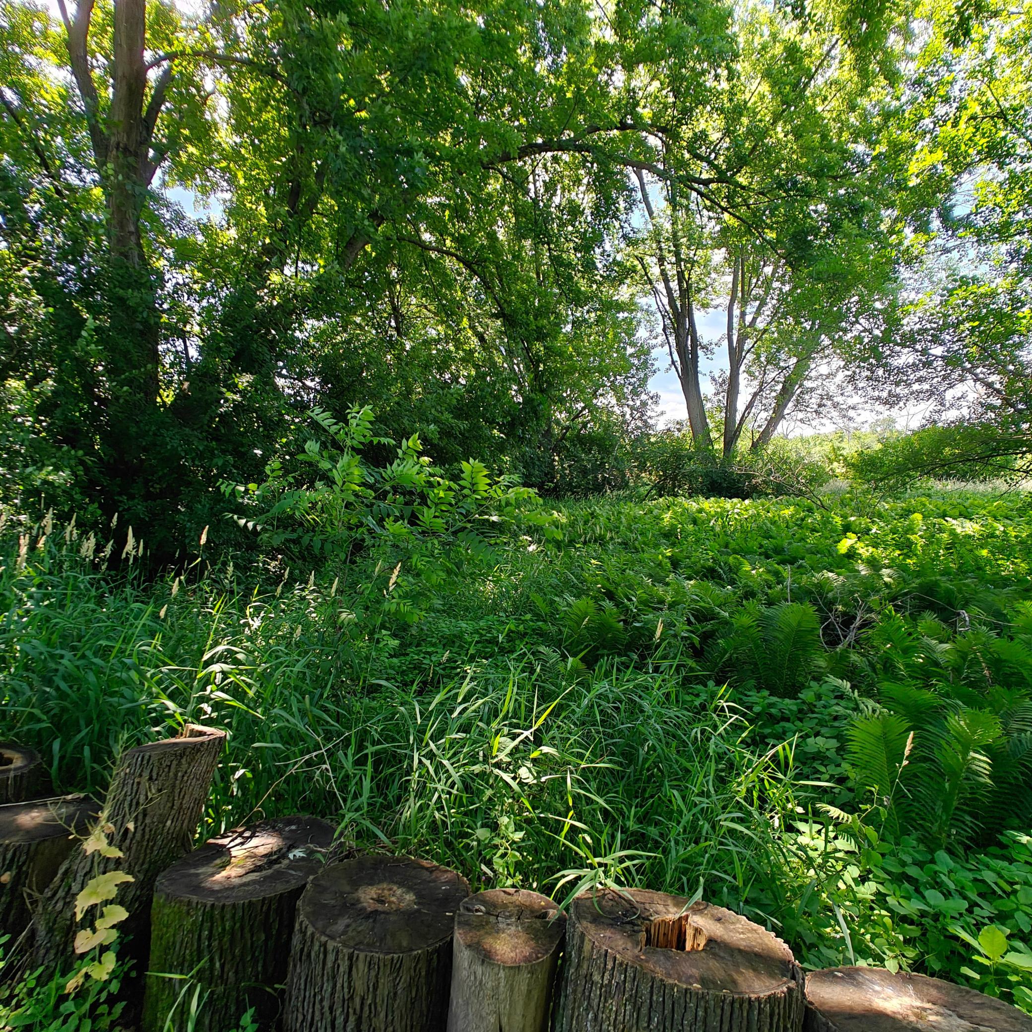 View of Land at 18 Westwood Circle, Hopkins MN 55305, Hopkins (6 of 7) - Mike Wilen | Minnesota Team Real Estate