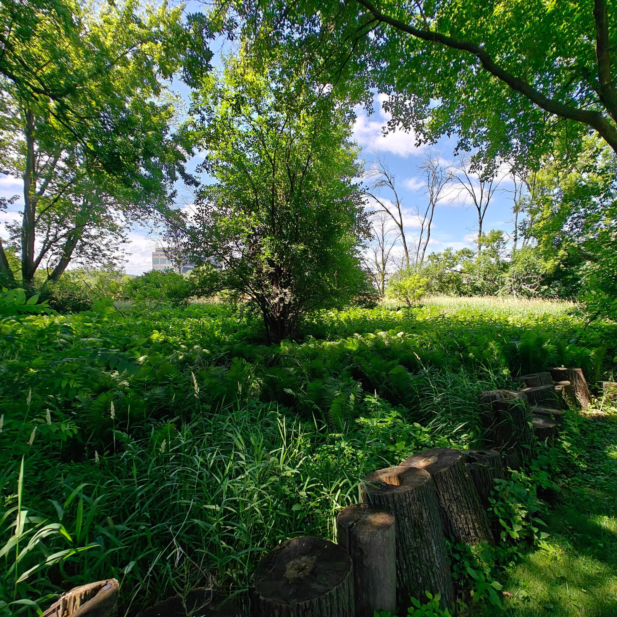 View of Land at 18 Westwood Circle, Hopkins MN 55305, Hopkins (2 of 7) - Mike Wilen | Minnesota Team Real Estate