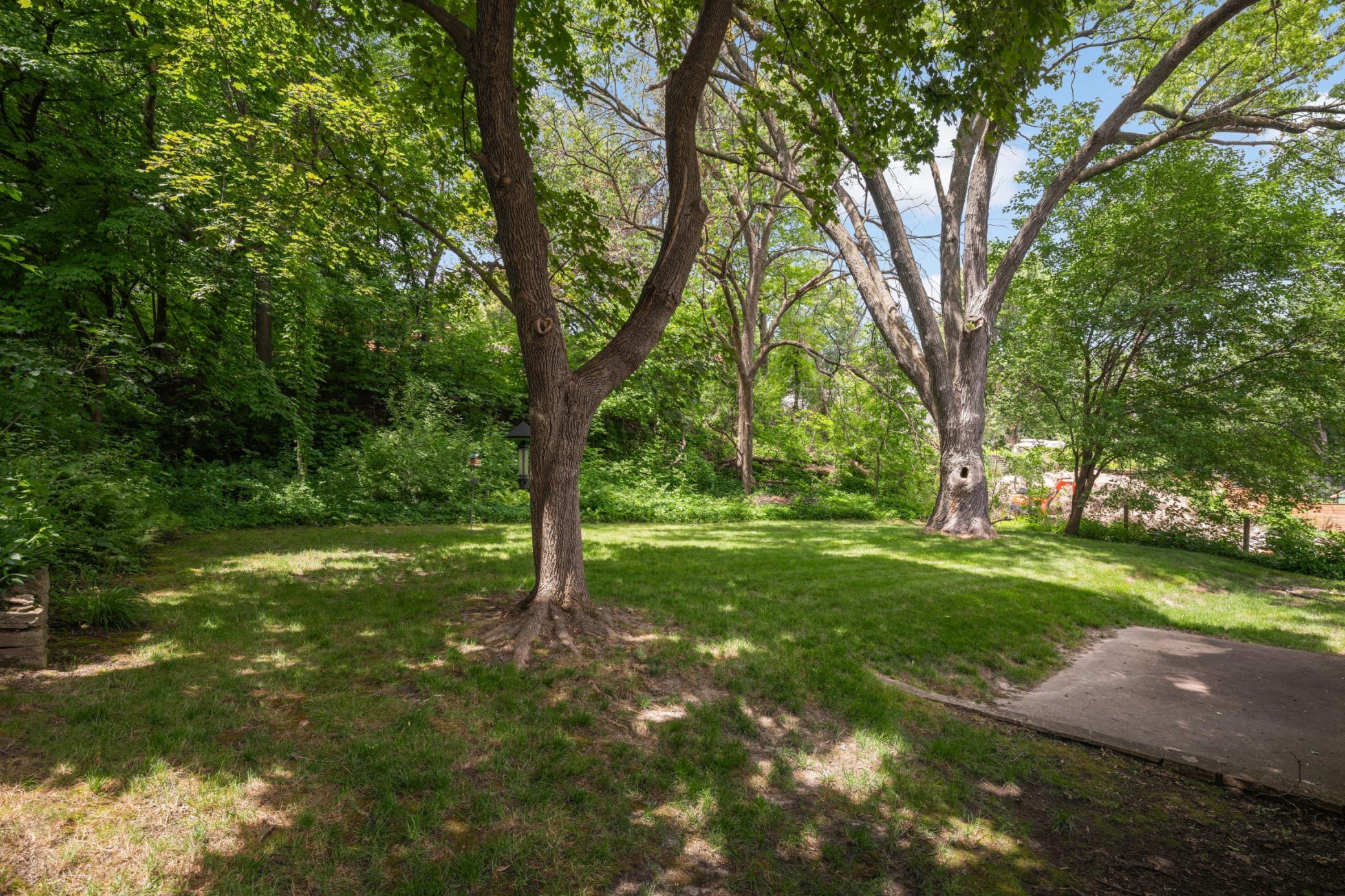 View of Land at 6XX Pleasant Street, Excelsior MN 55331, Excelsior (4 of 18) - Mike Wilen | Minnesota Team Real Estate