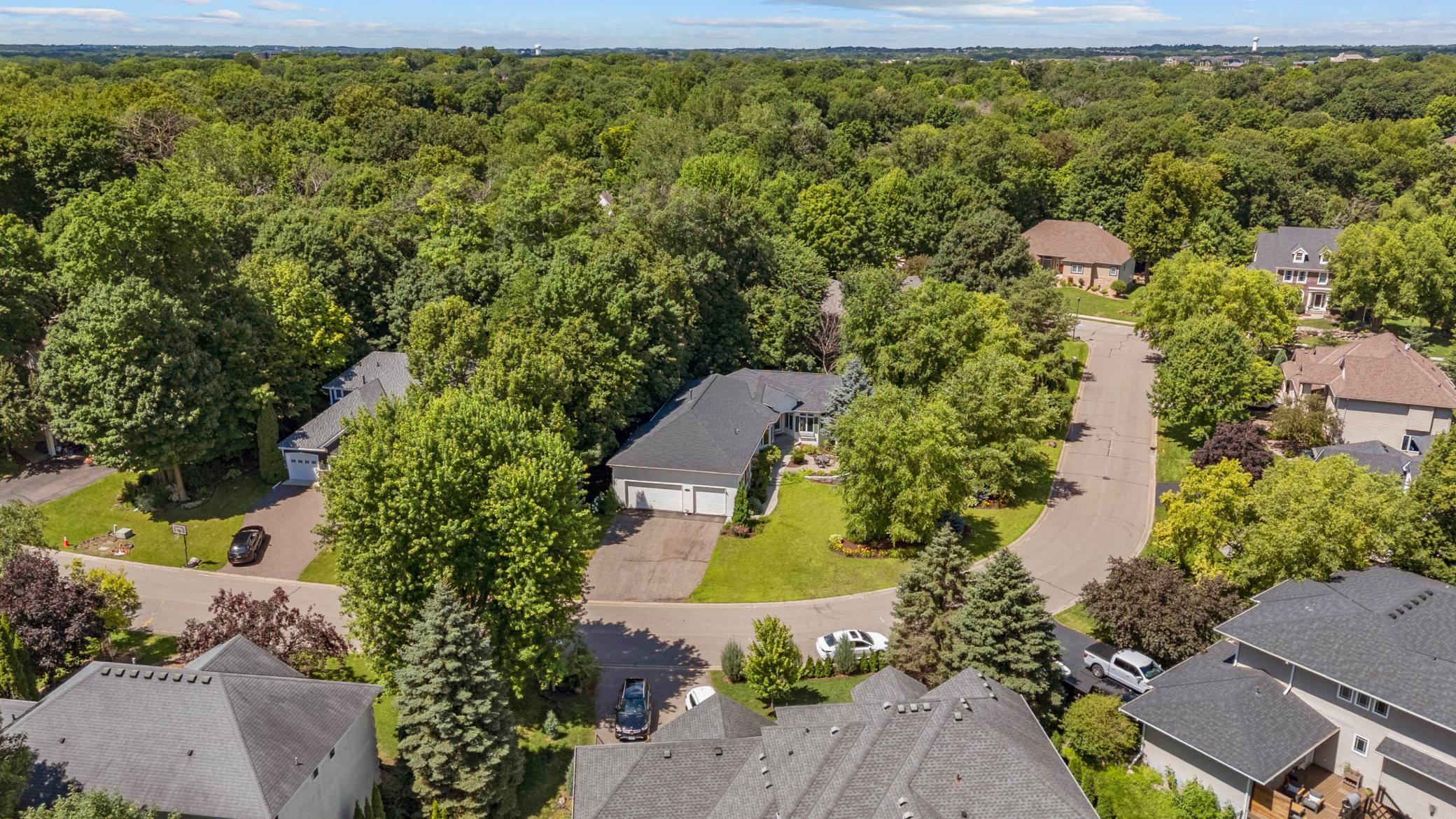 View of Residential at 2888 Forest Ridge, Chaska MN 55318, Chaska (4 of 48) - Mike Wilen | Minnesota Team Real Estate