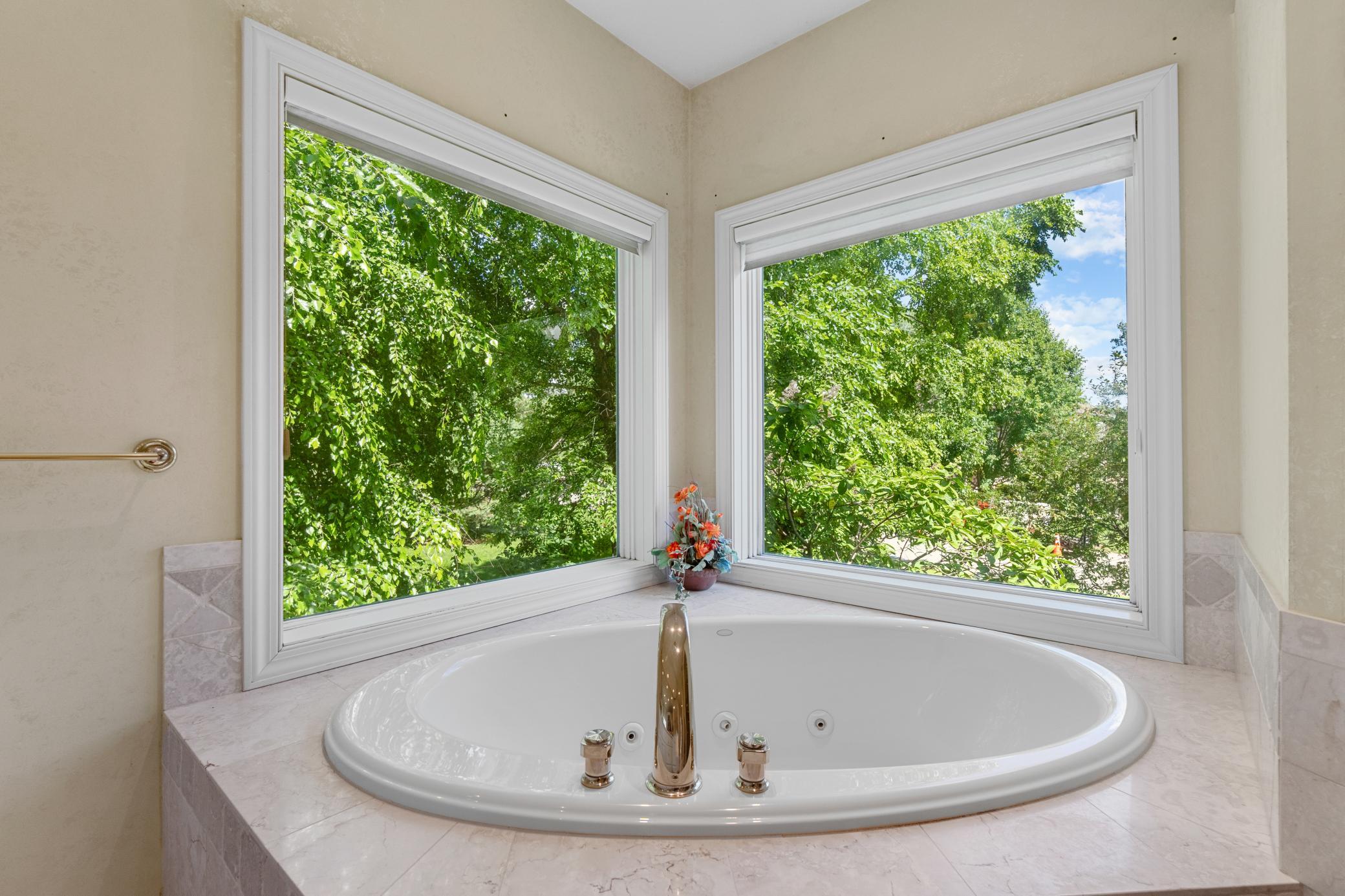View of Residential at 2888 Forest Ridge, Chaska MN 55318, Chaska (20 of 48) - Mike Wilen | Minnesota Team Real Estate