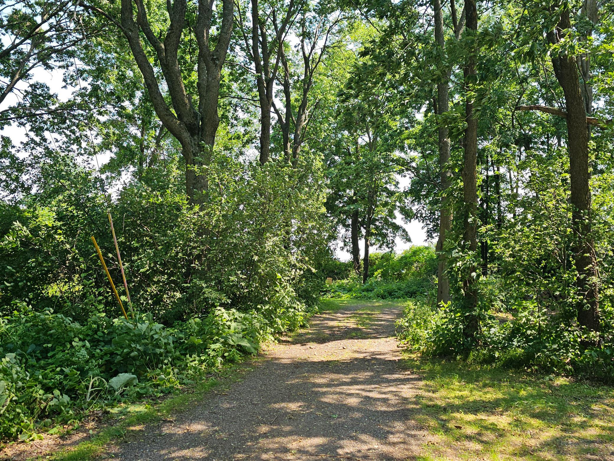 View of Residential at 3905 438th Street, Isle MN 56342, Isle (10 of 17) - Mike Wilen | Minnesota Team Real Estate