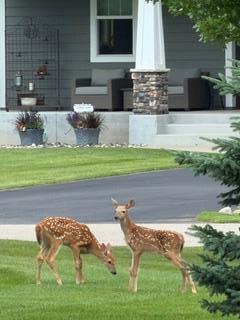 View of Residential at 3940 192nd Lane, Oak Grove MN 55303, Oak Grove (85 of 85) - Mike Wilen | Minnesota Team Real Estate