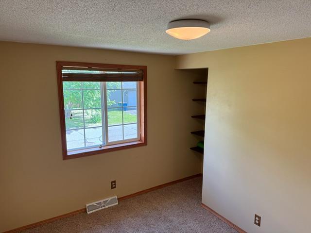 View of Residential at 1994 Robin Lane, Hugo MN 55038, Hugo (12 of 50) - Mike Wilen | Minnesota Team Real Estate