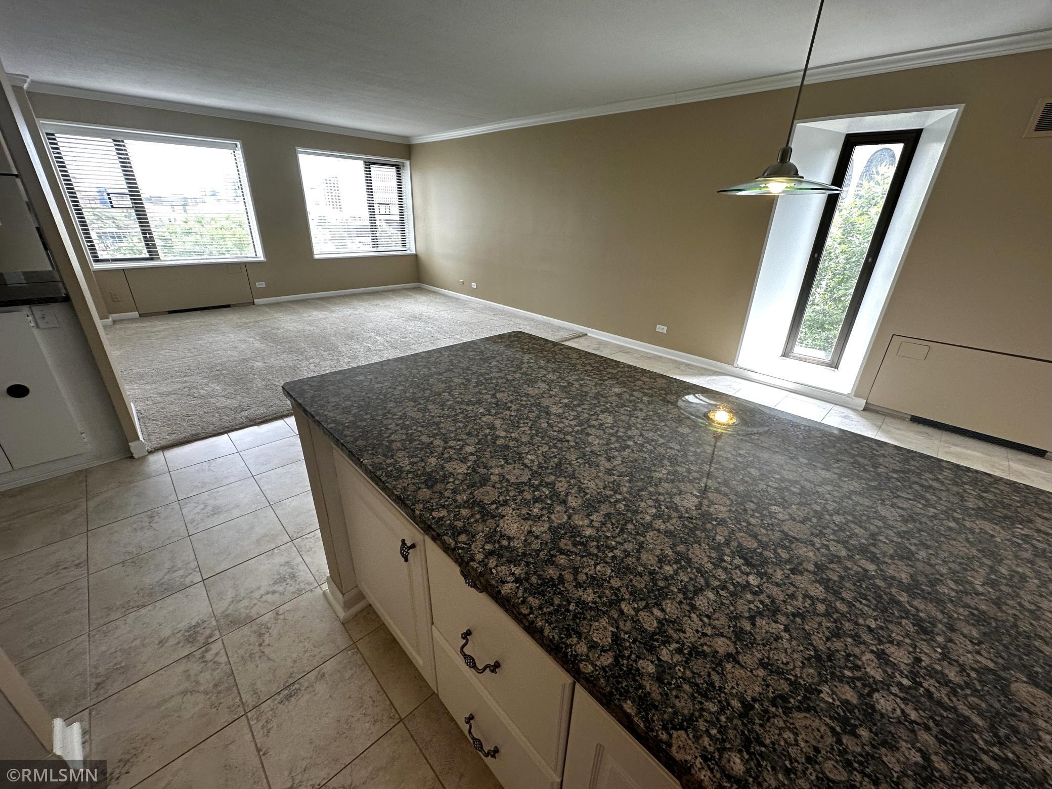 View of Residential at 15 1st Street #A602, Minneapolis MN 55401, Minneapolis (11 of 37) - Mike Wilen | Minnesota Team Real Estate