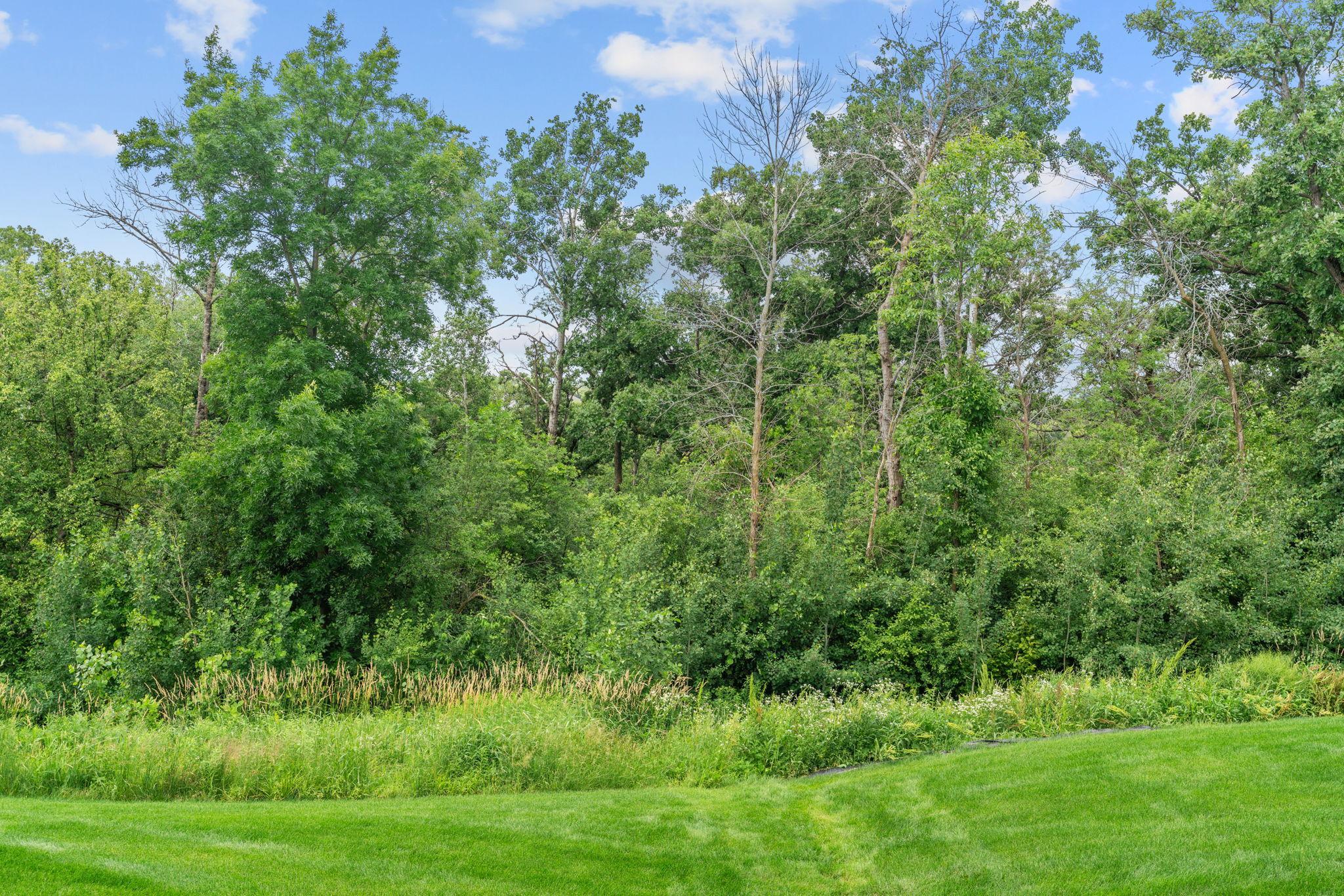 View of Residential at 27100 Petes Hill Trail, Elko New Market MN 55020, Elko New Market (57 of 72) - Mike Wilen | Minnesota Team Real Estate
